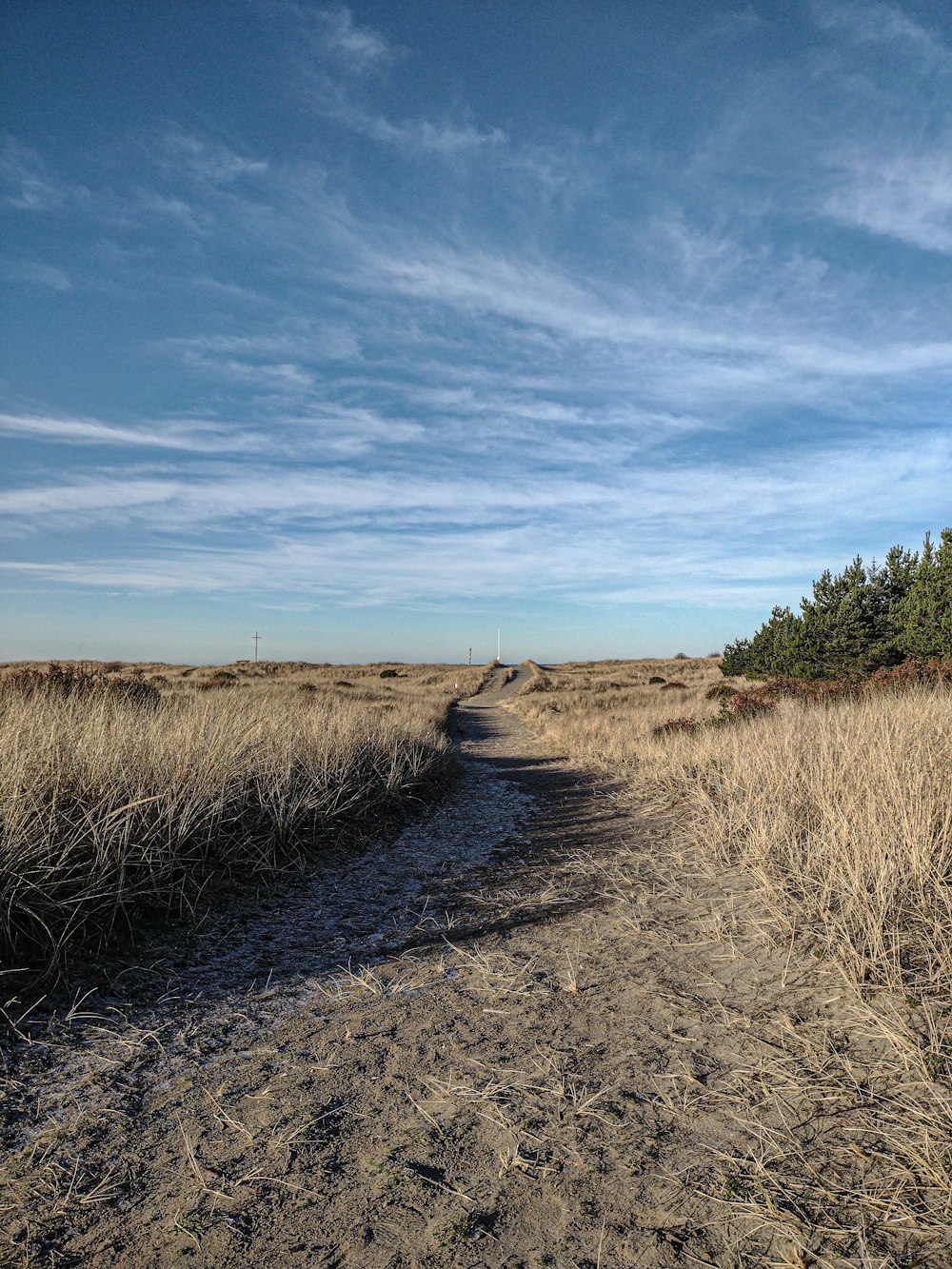 a dirt road in the middle of a dry grass field