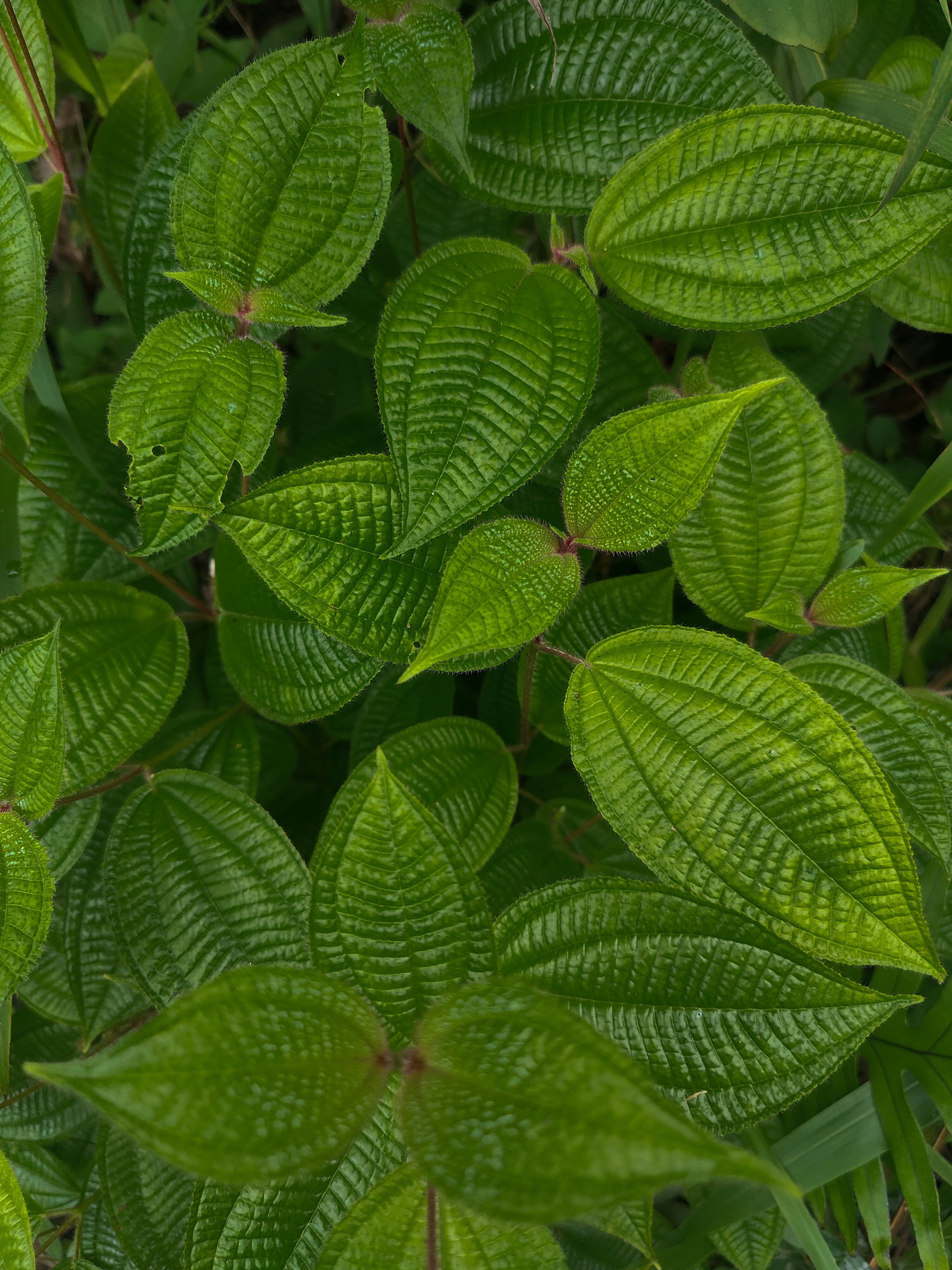 Photo by castingspells91_