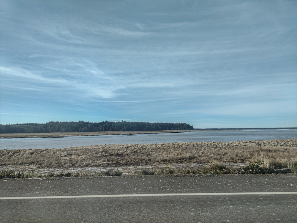 a body of water sitting next to a road