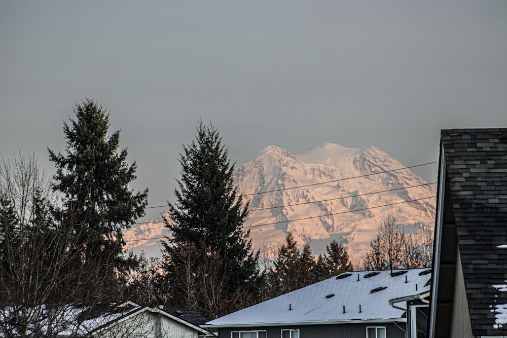 a view of a snow covered mountain in the distance