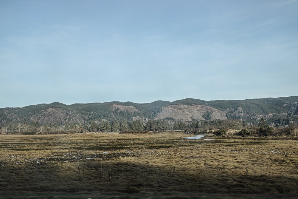 a grassy field with mountains in the background