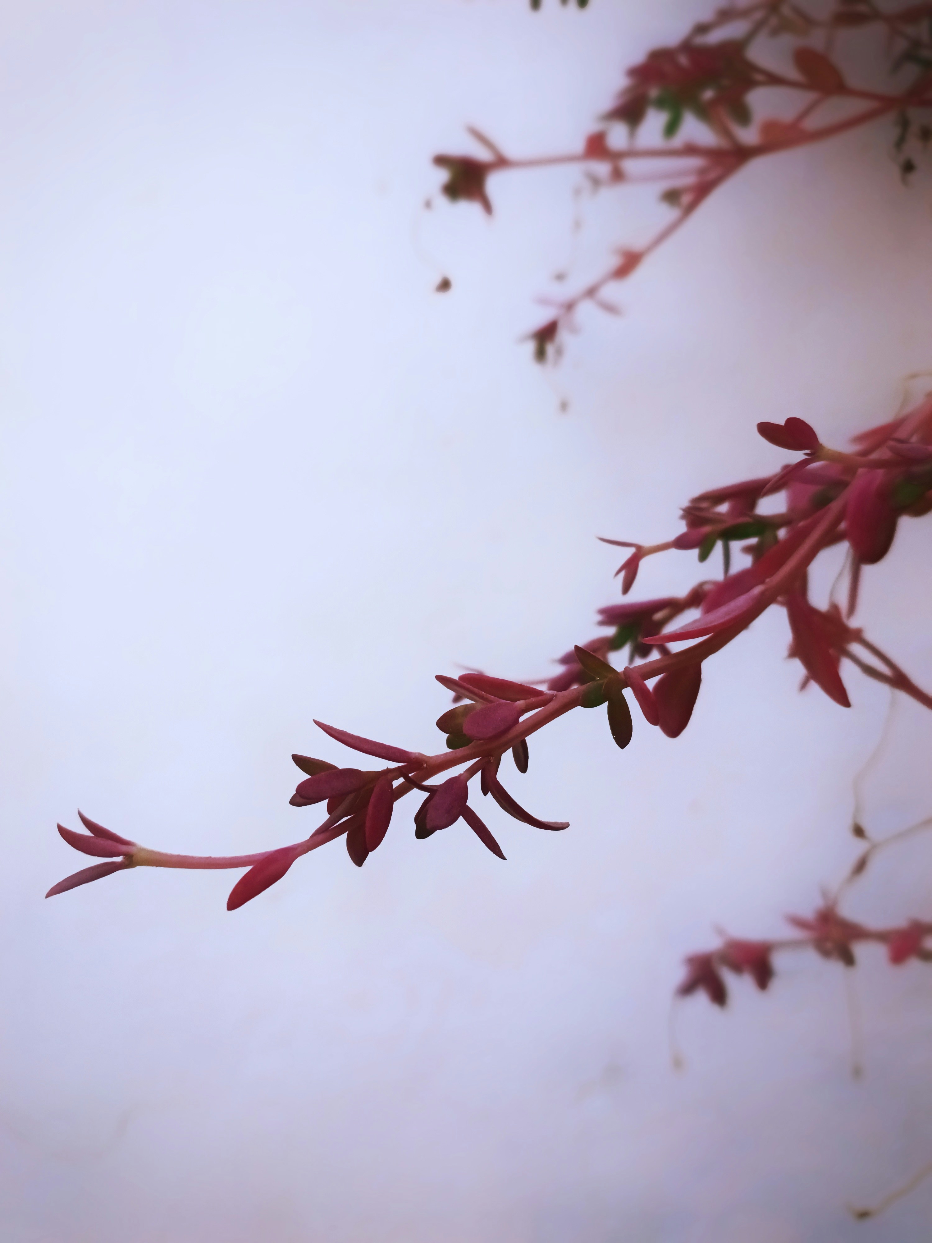 Photo by cooltsukki_18