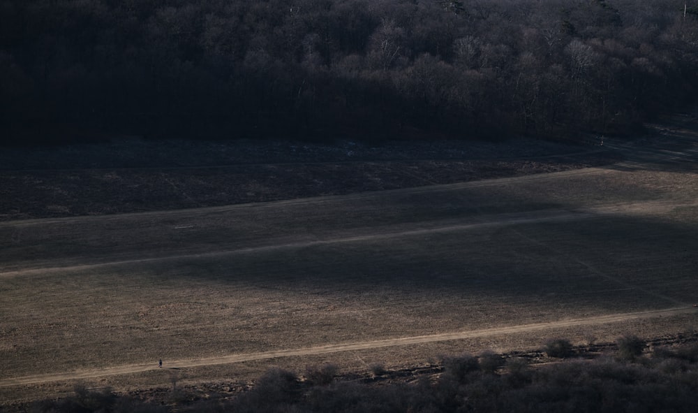 a lone horse standing in the middle of a field