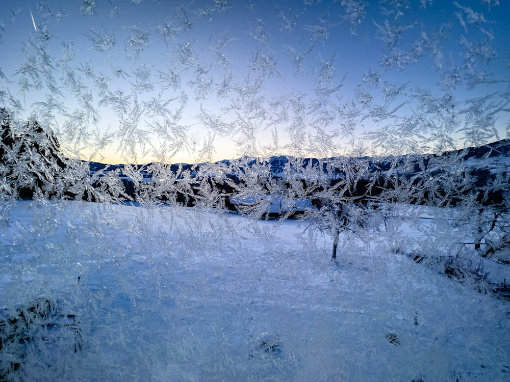 Blick auf ein verschneites Feld durch ein Fenster