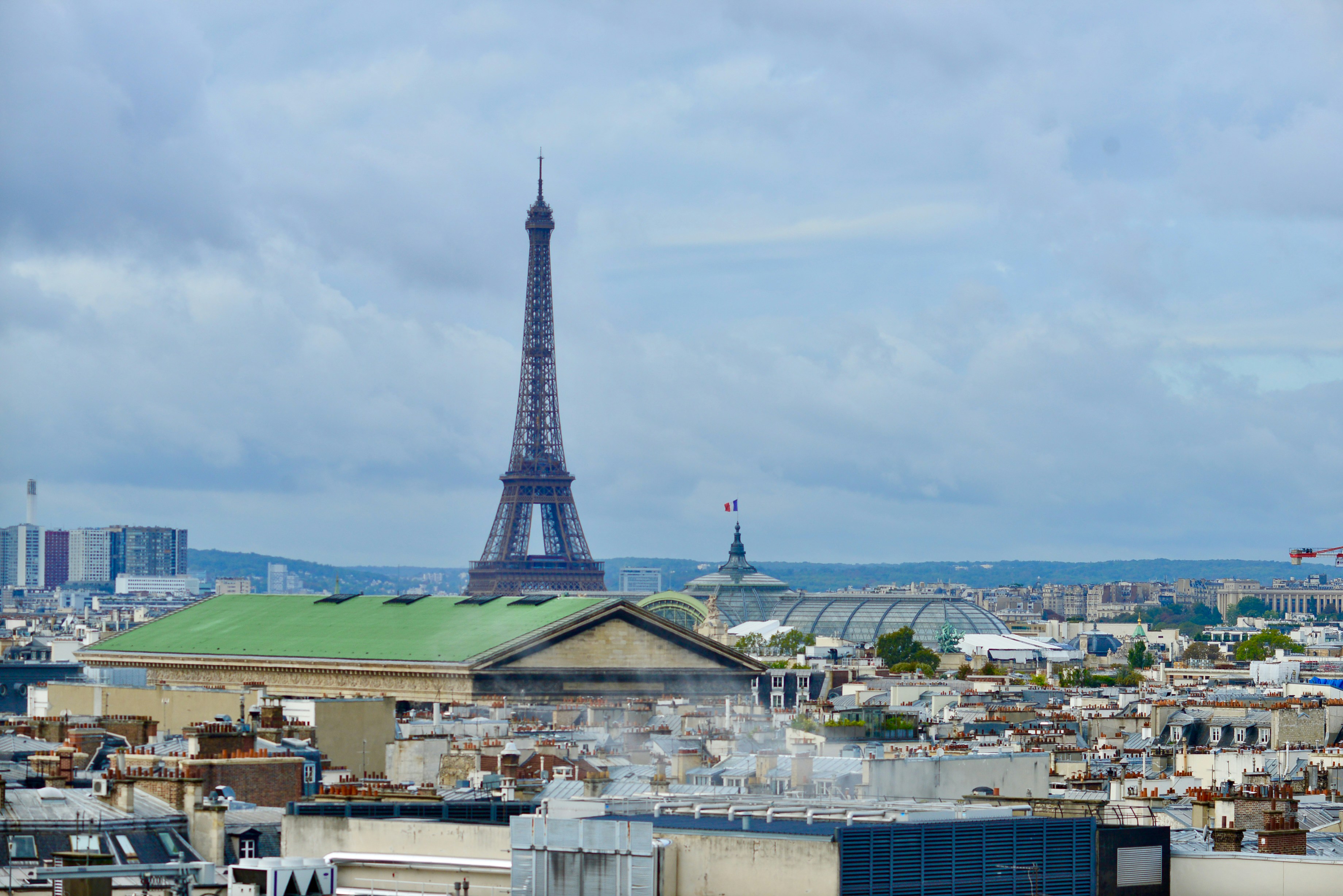 the eiffel tower towering over the city of paris