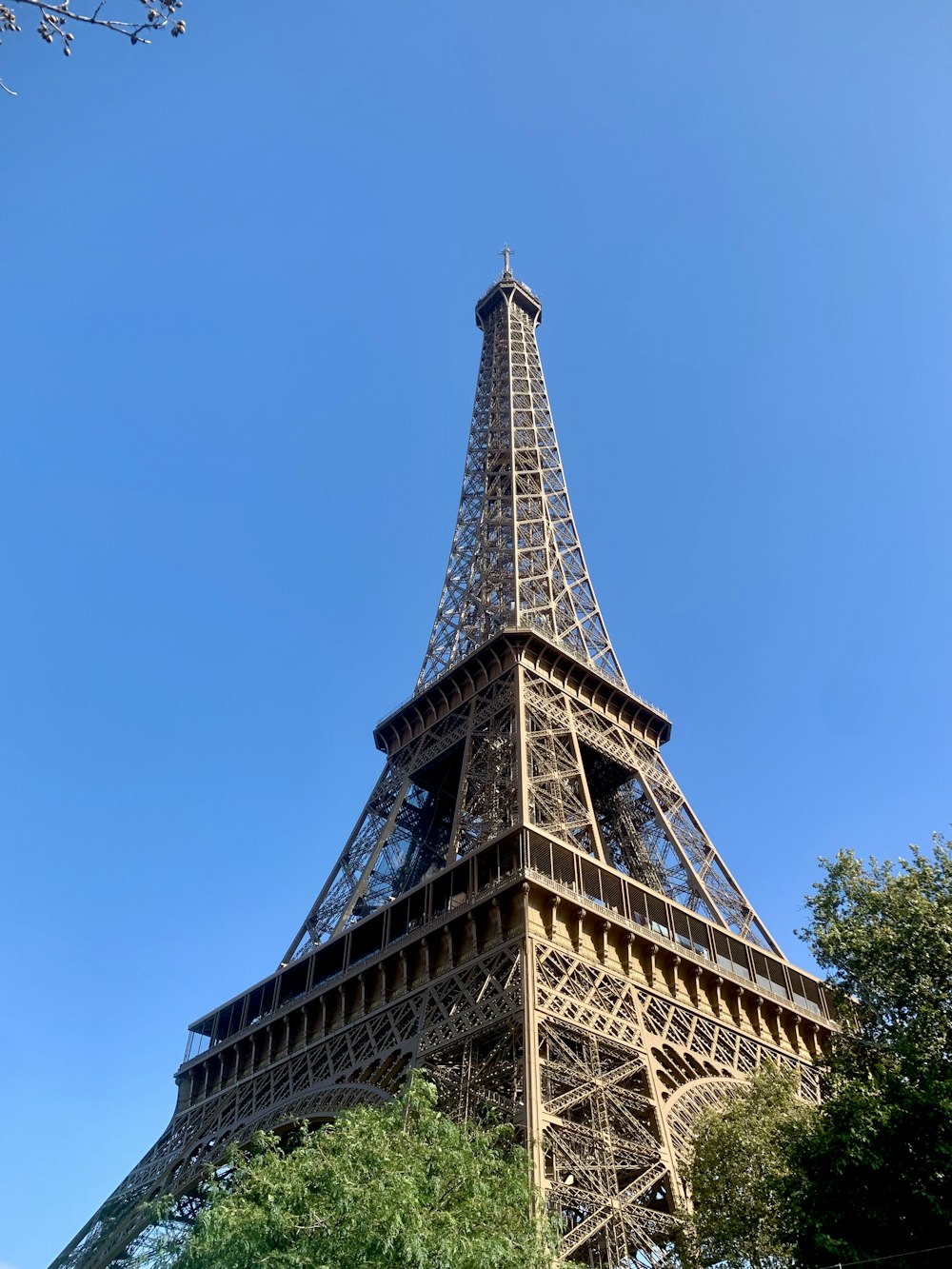 the eiffel tower towering over the city of paris