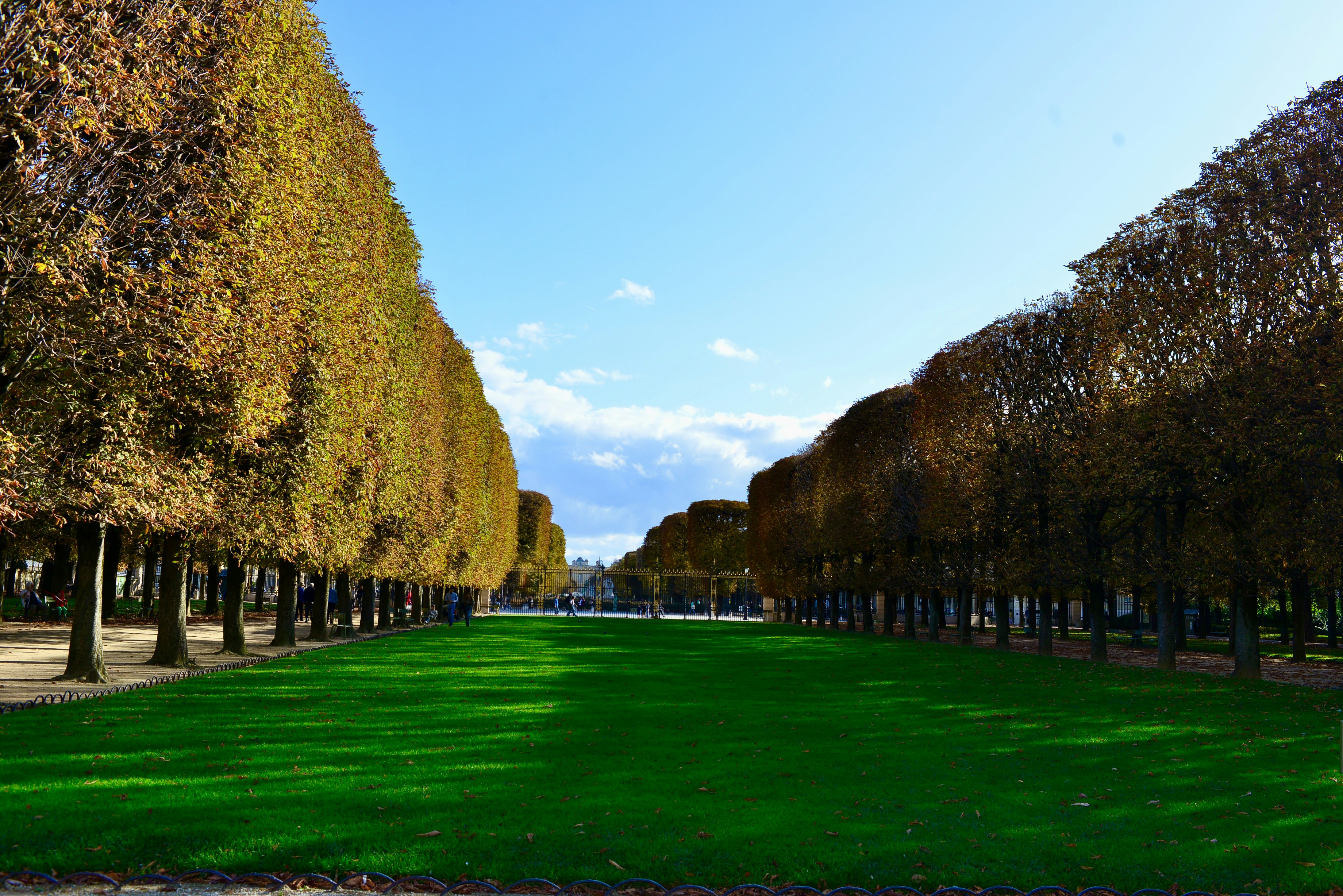 Image by D Z via Unsplash