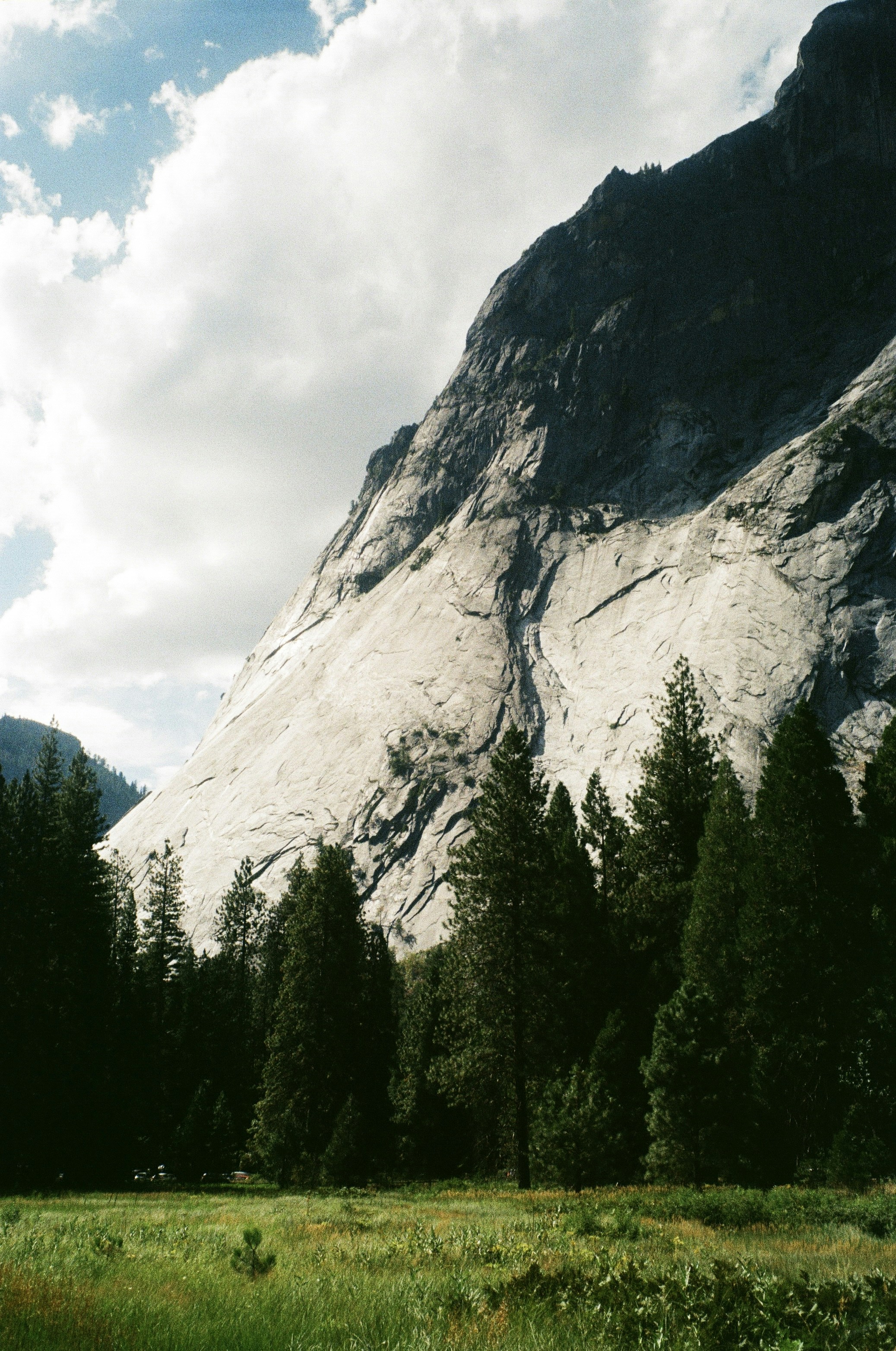 Photo by whitecanvascreative