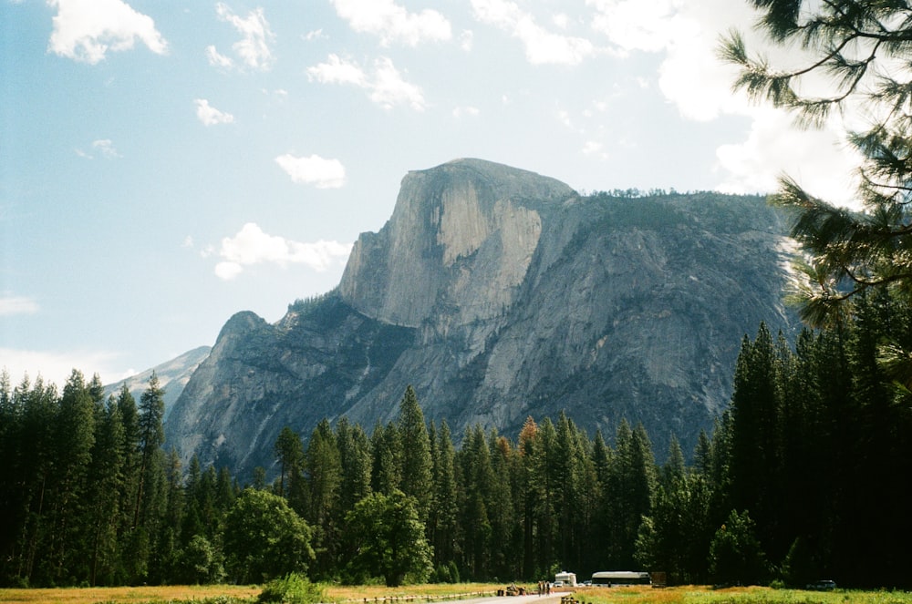 a large mountain towering over a forest filled with trees