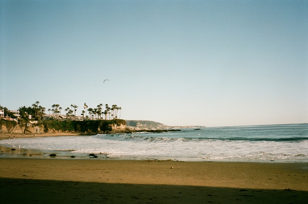 a view of a beach with palm trees in the background