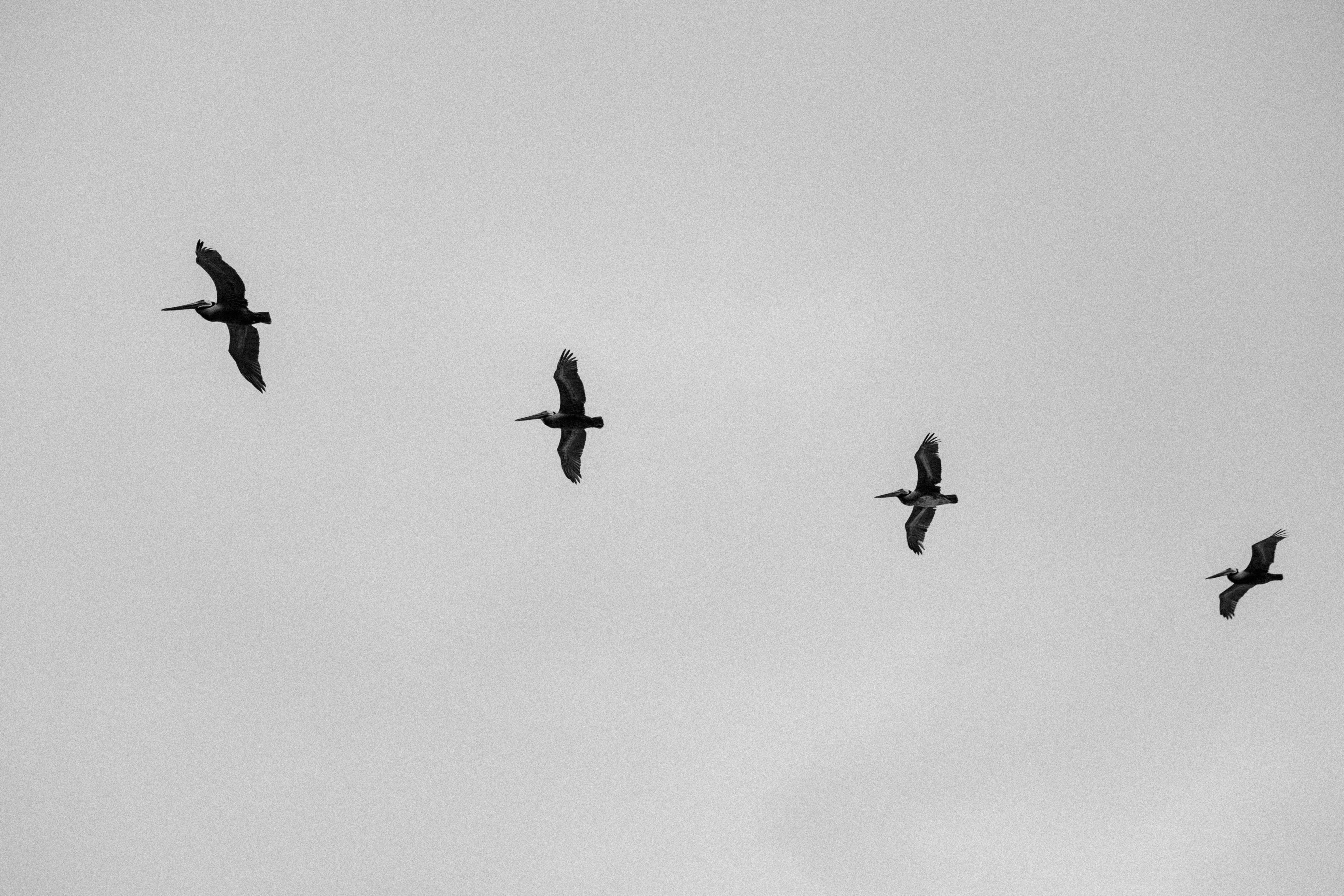 Photo by whitecanvascreative