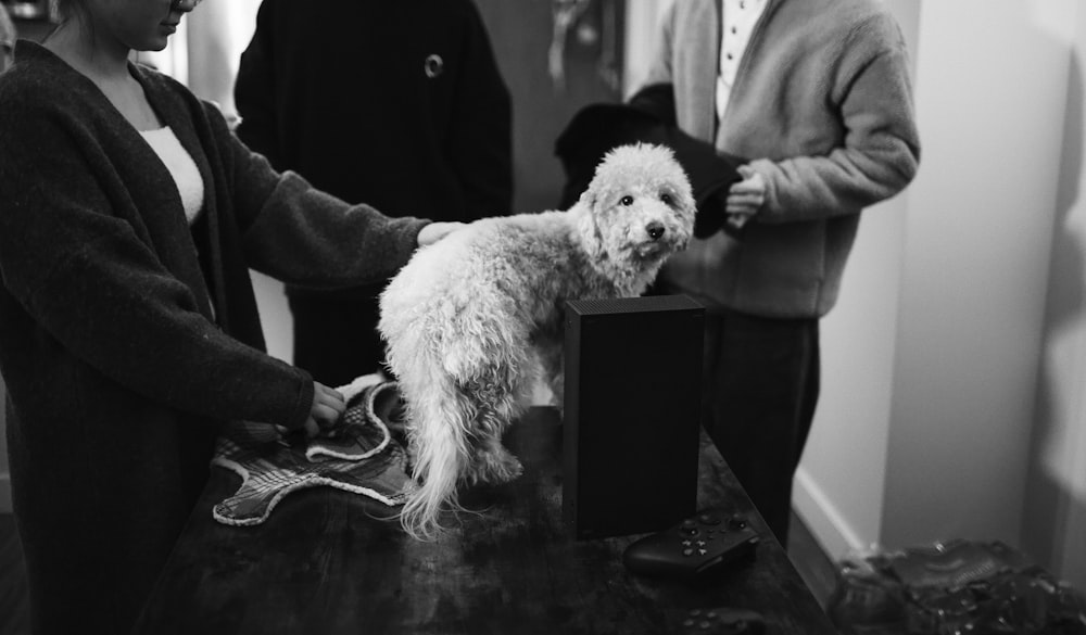 a woman standing next to a white dog on top of a table