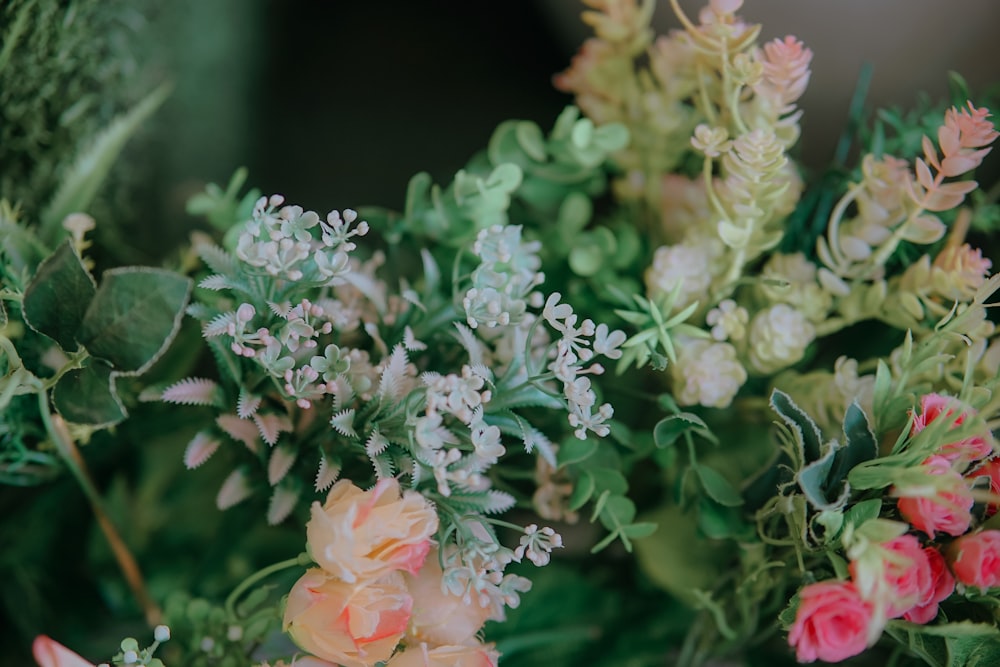 a close up of a bunch of flowers