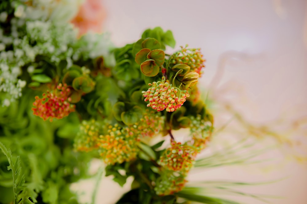 a close up of a bunch of flowers on a table