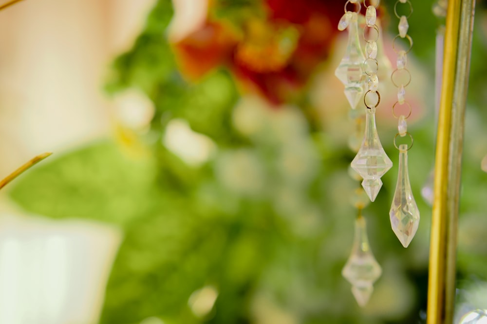 a close up of a plant with beads hanging from it