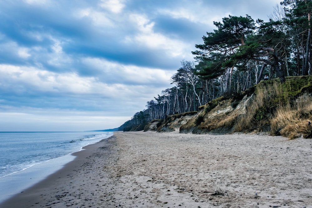 a sandy beach next to the ocean under a cloudy sky