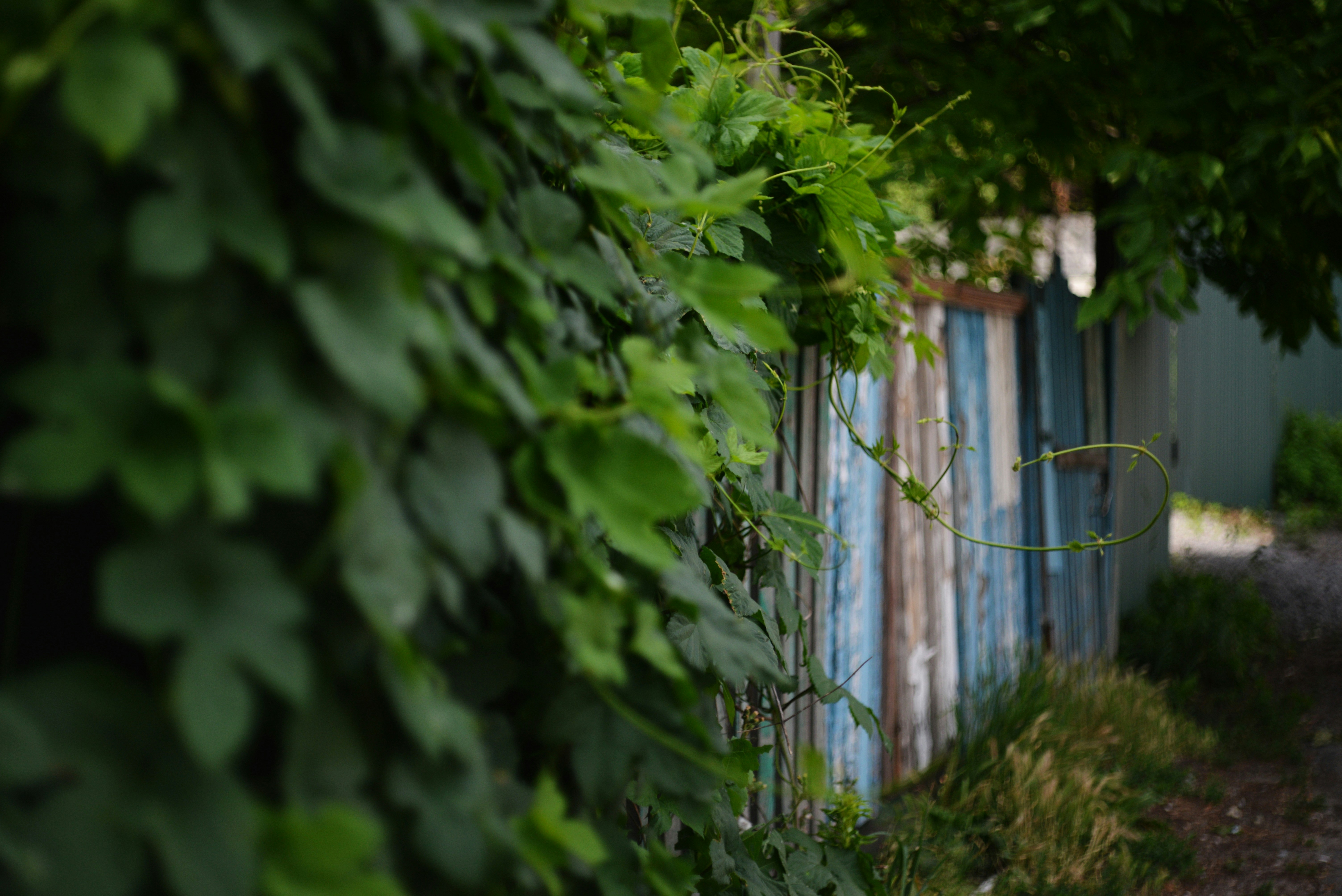 Photo by cherstve_pechivo