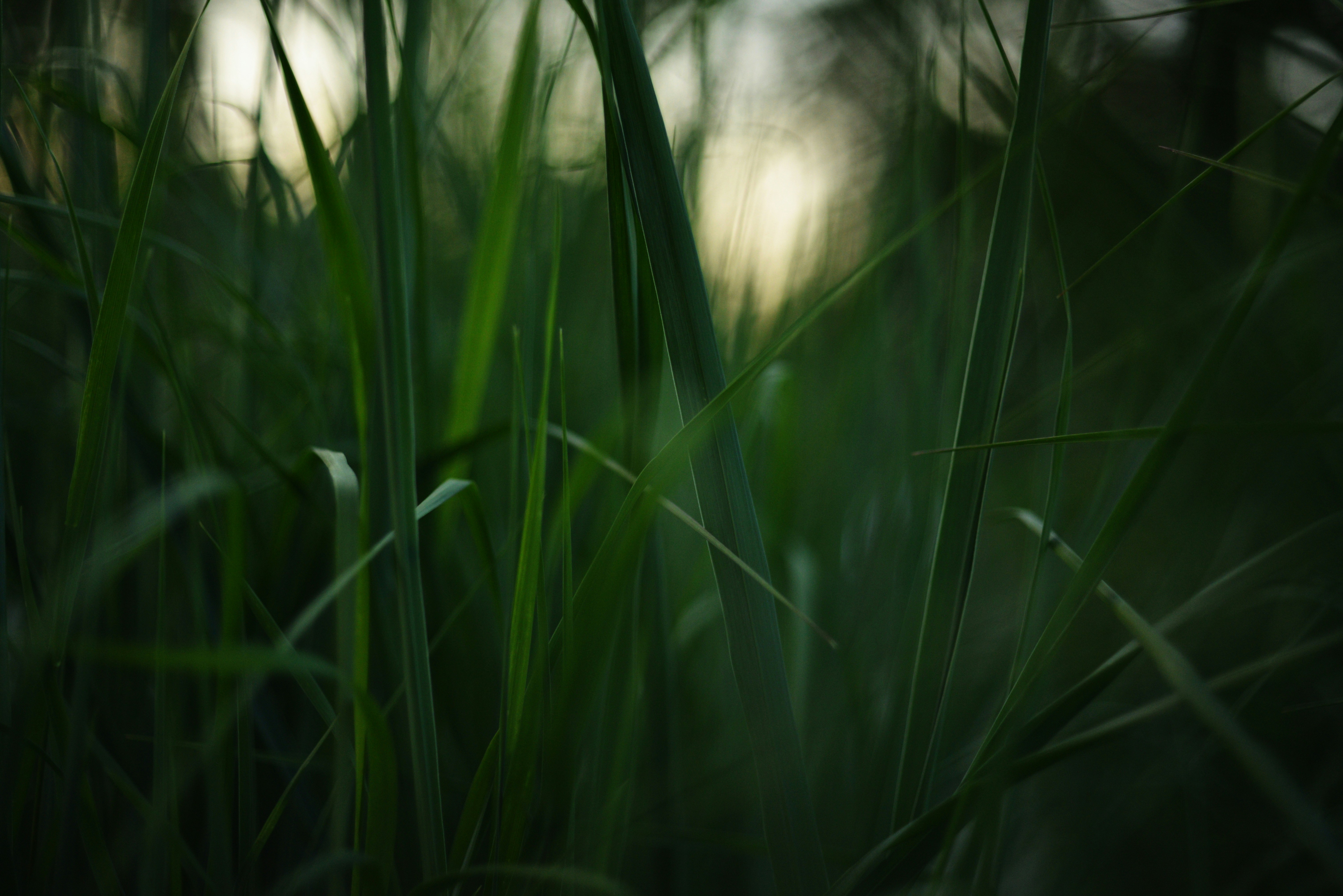 Photo by cherstve_pechivo