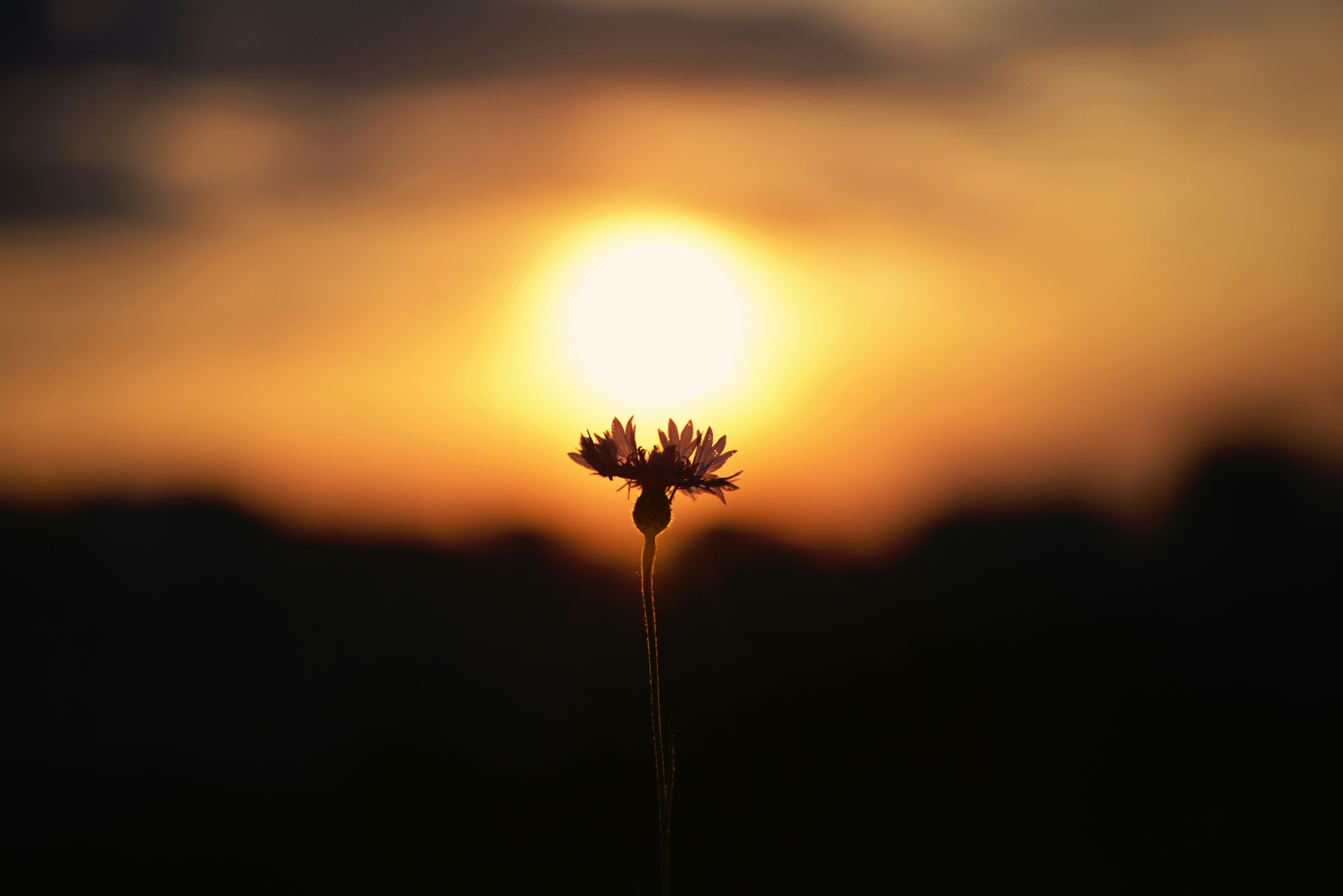 Photo by cherstve_pechivo