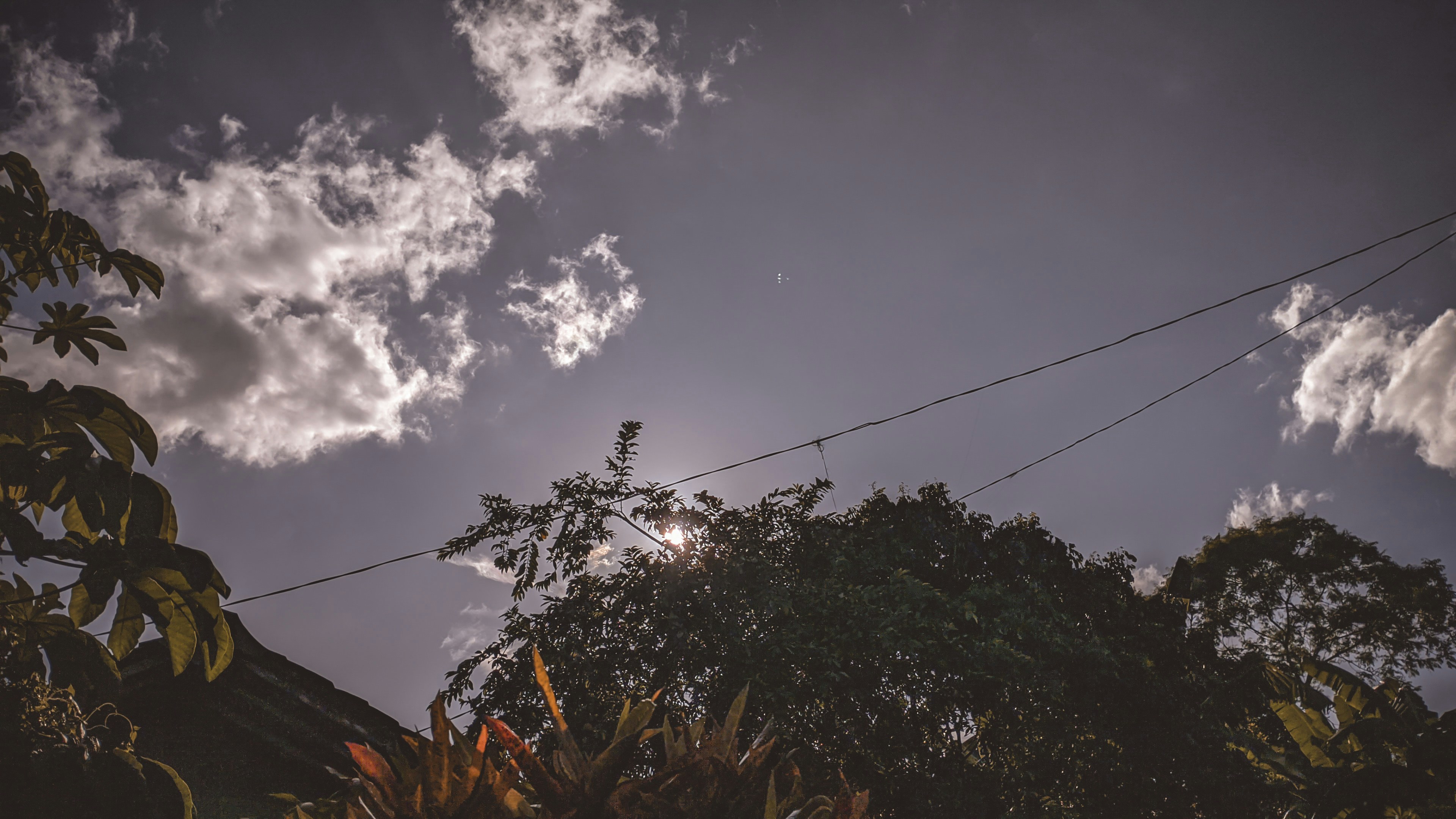 Photo by adityamandala