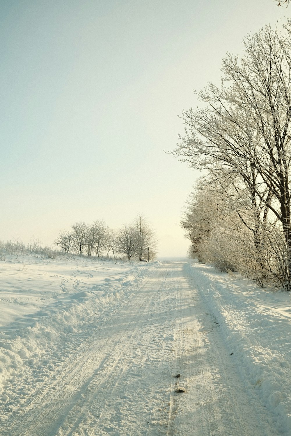 a snow covered road in the middle of a field