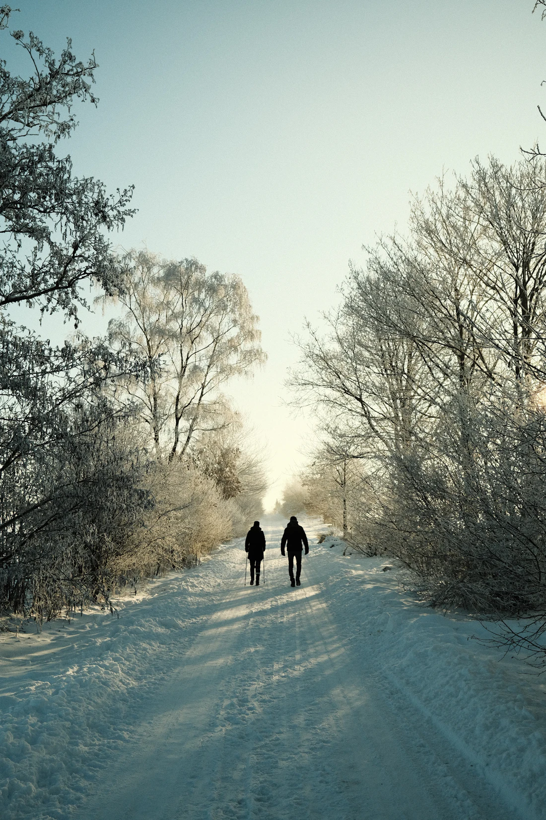 Twee wandelaars op een besneeuwde weg in het Sauerland