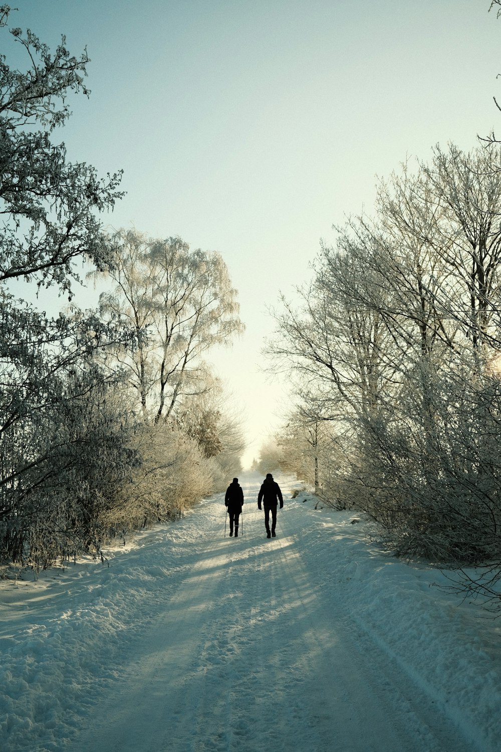 two people walking down a snow covered road