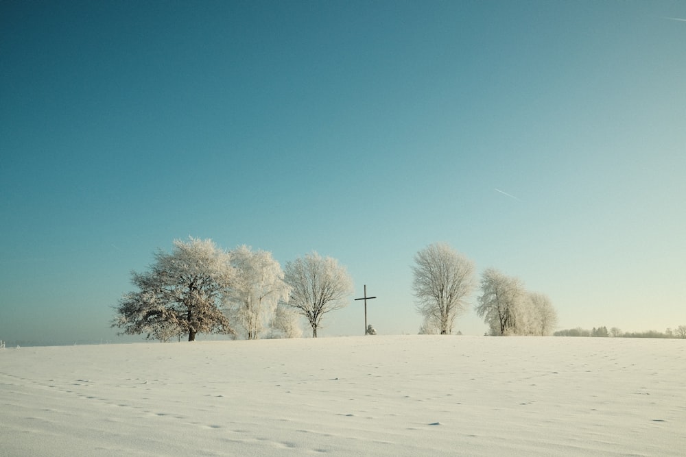 a snowy field with trees and a cross in the distance