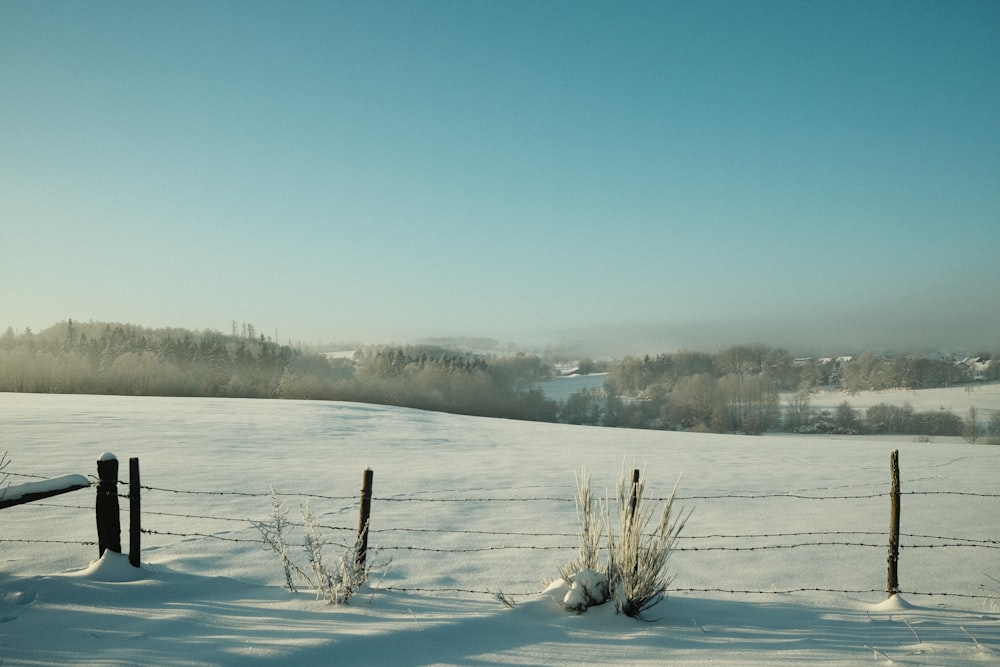 a snow covered field with a wire fence