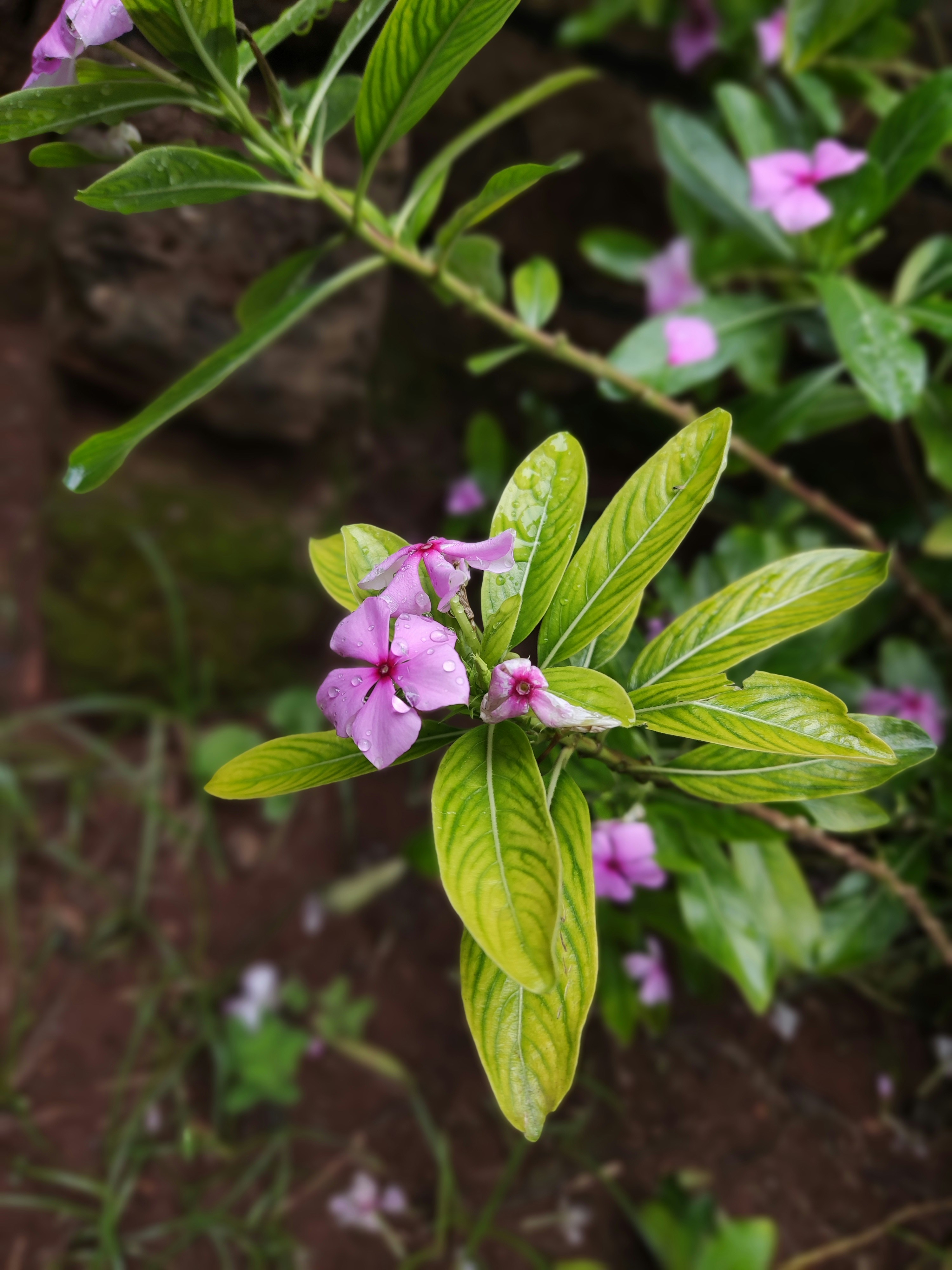 Photo by nandidina879