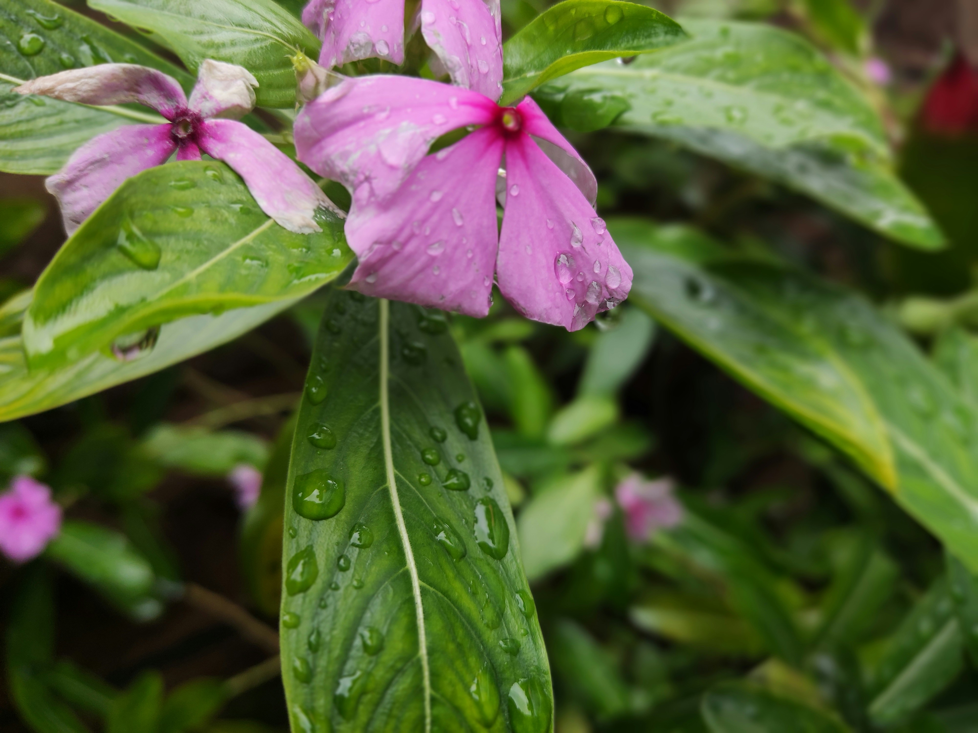 Photo by nandidina879