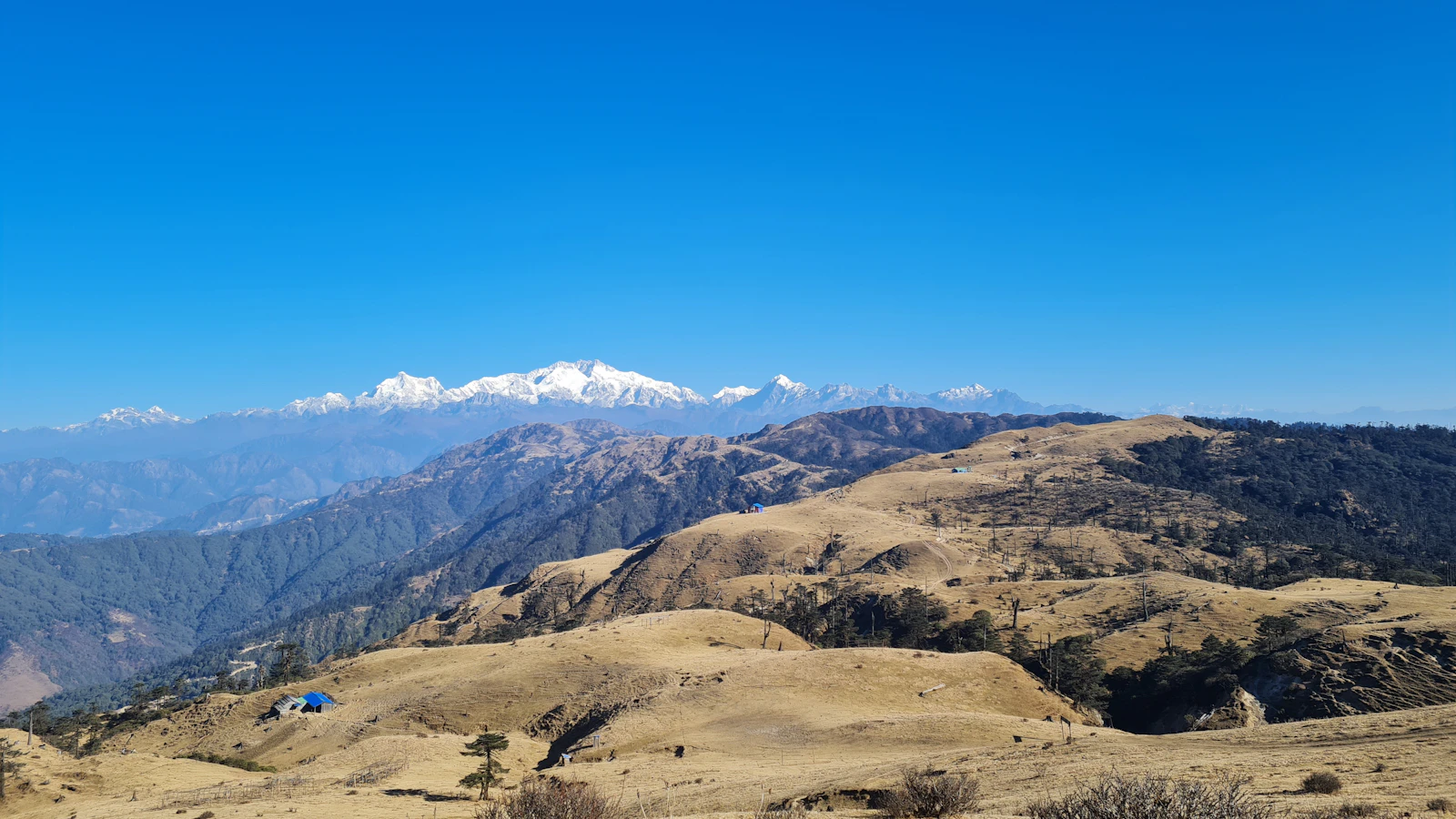 The bare golden ridges of Singalila near Sandakphu rolling towards the Kanchenjunga range, a lone blue tent pitched on the grass