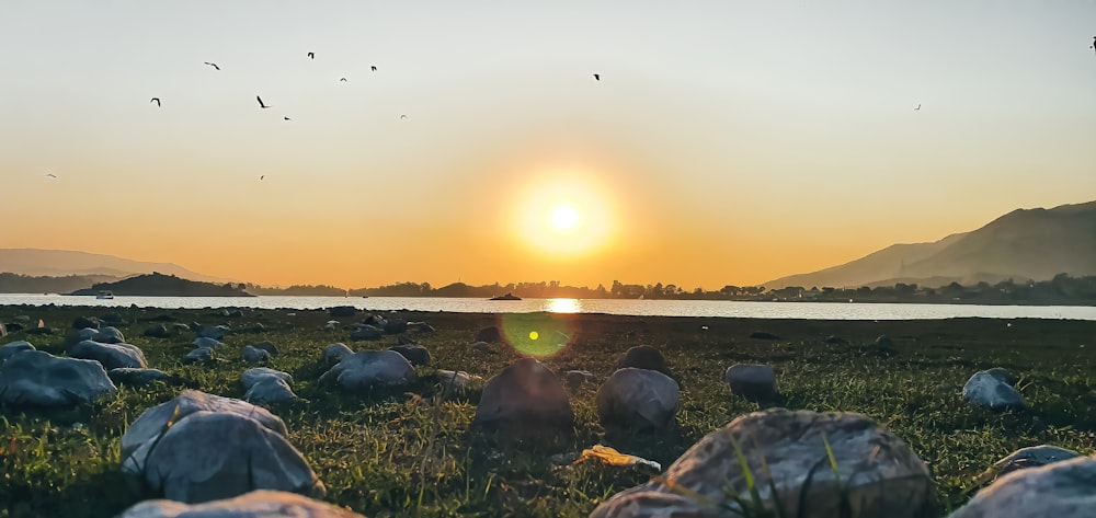 the sun is setting over a field of rocks