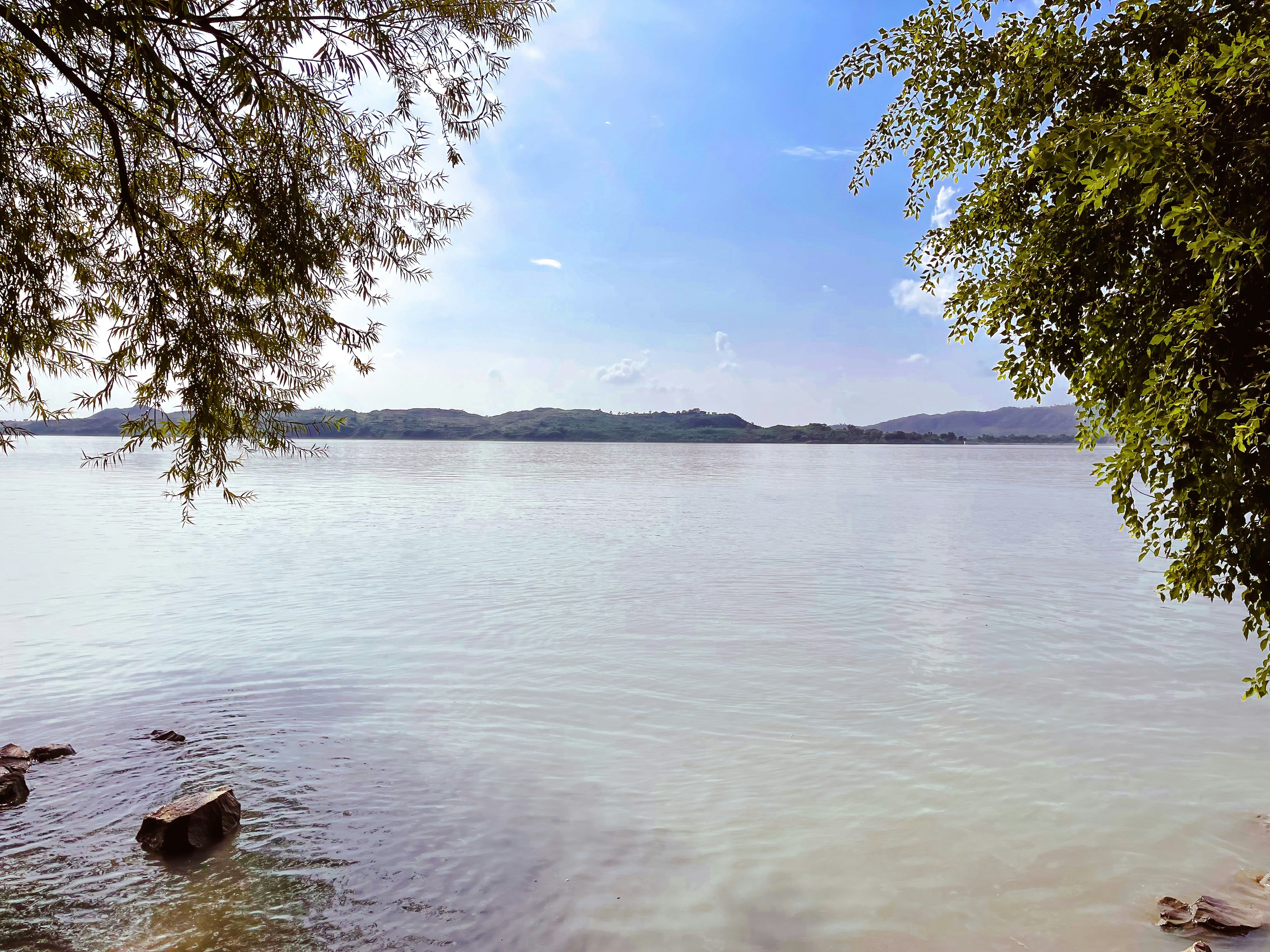 a large body of water surrounded by trees