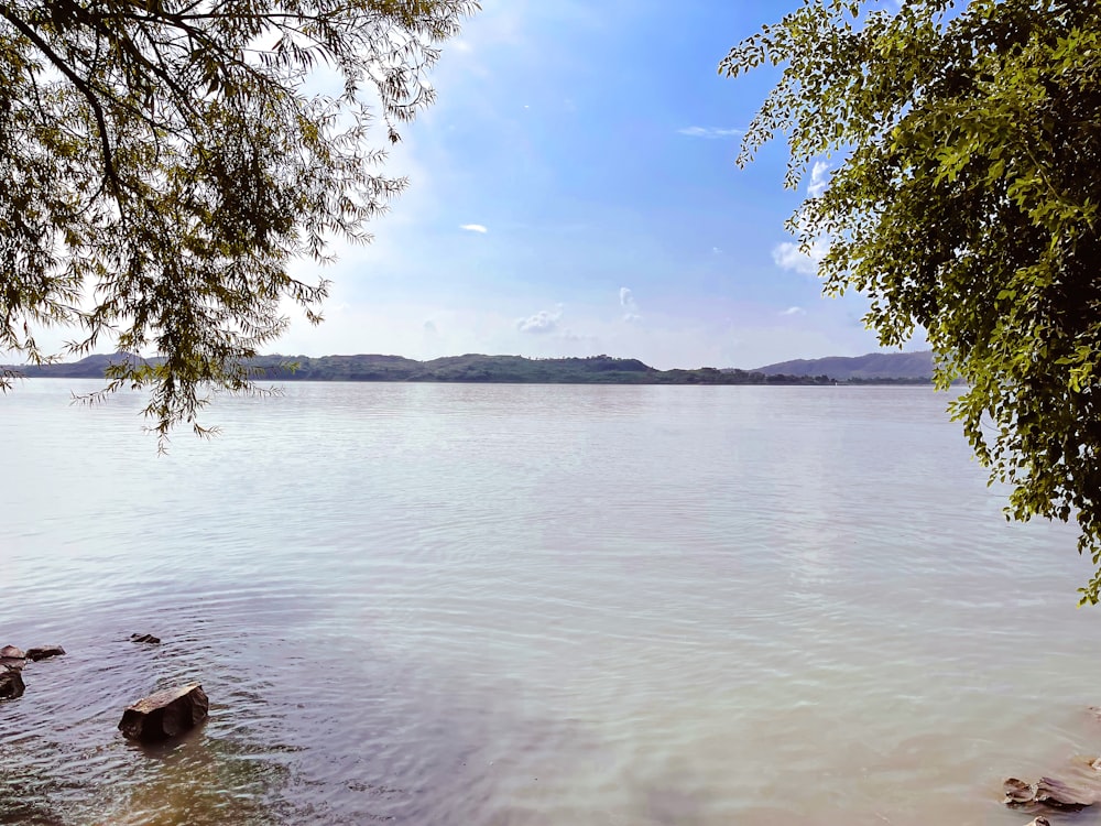 un grande specchio d'acqua circondato da alberi