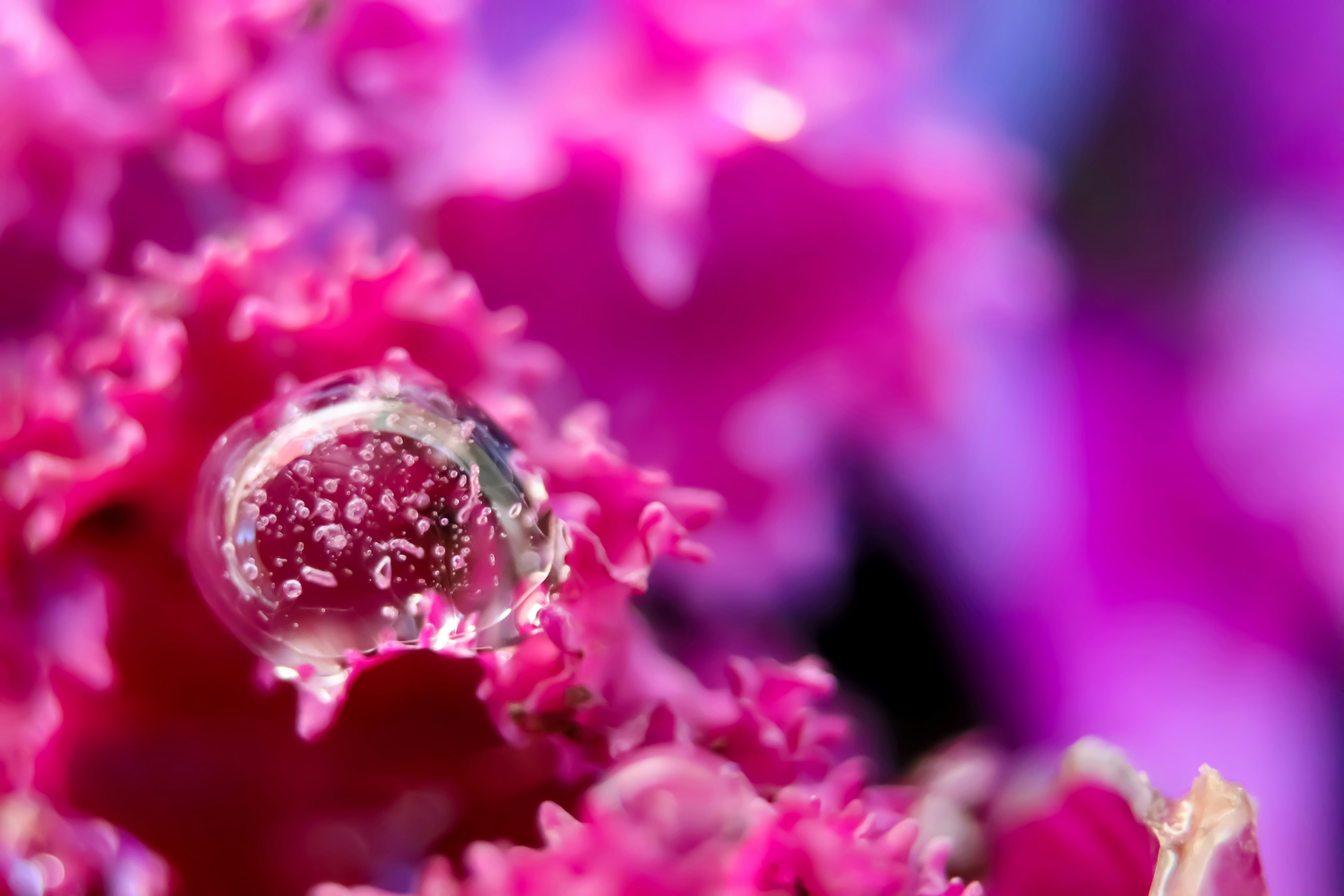 Photo by eusebiu_soica