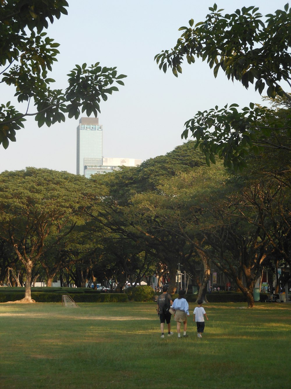 a group of people walking through a lush green park