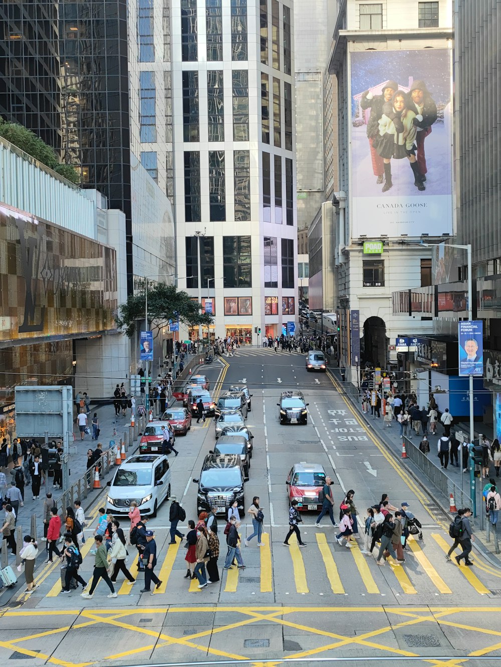 a large group of people crossing a street