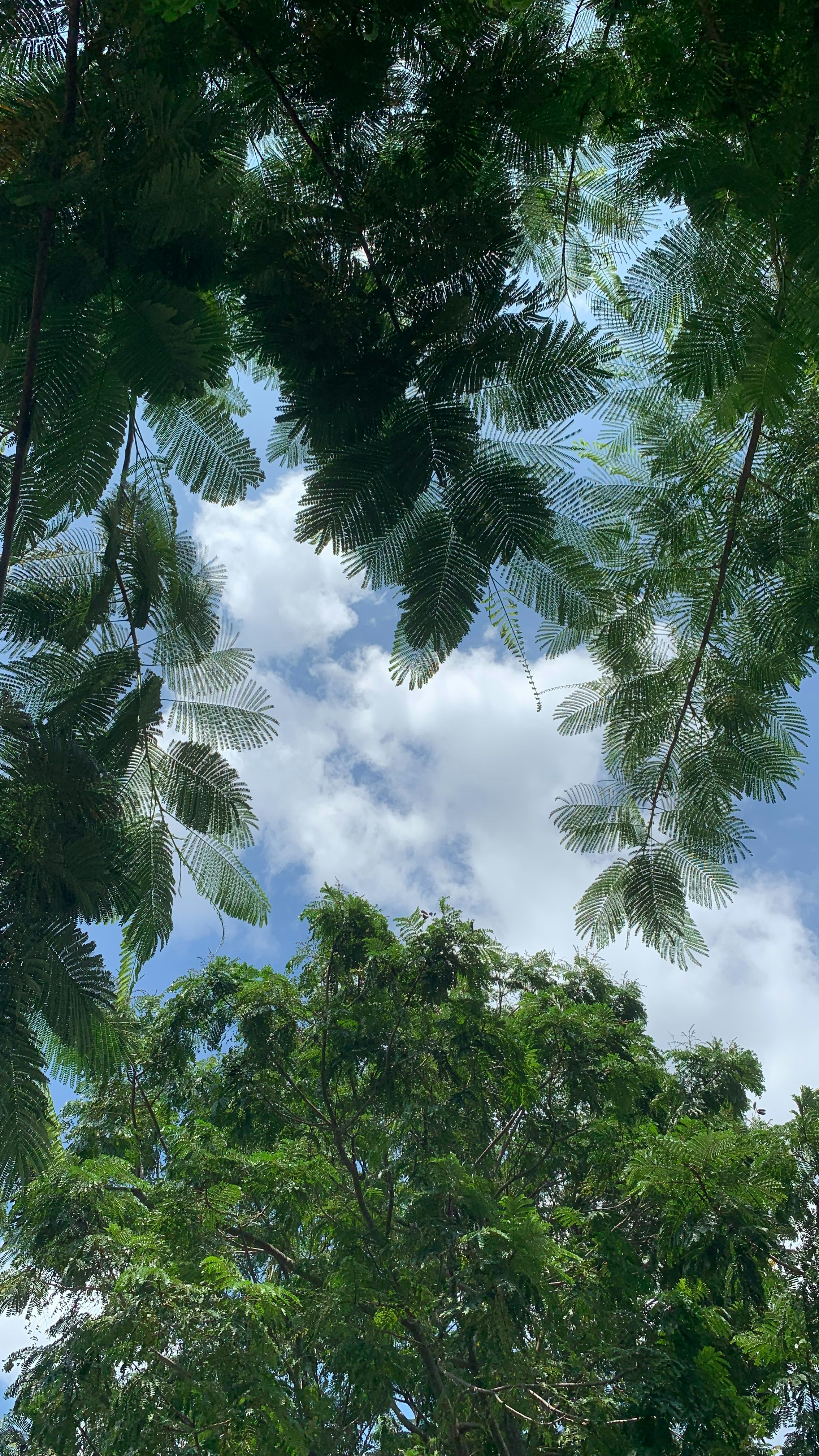 Photo by pranavshrivastava