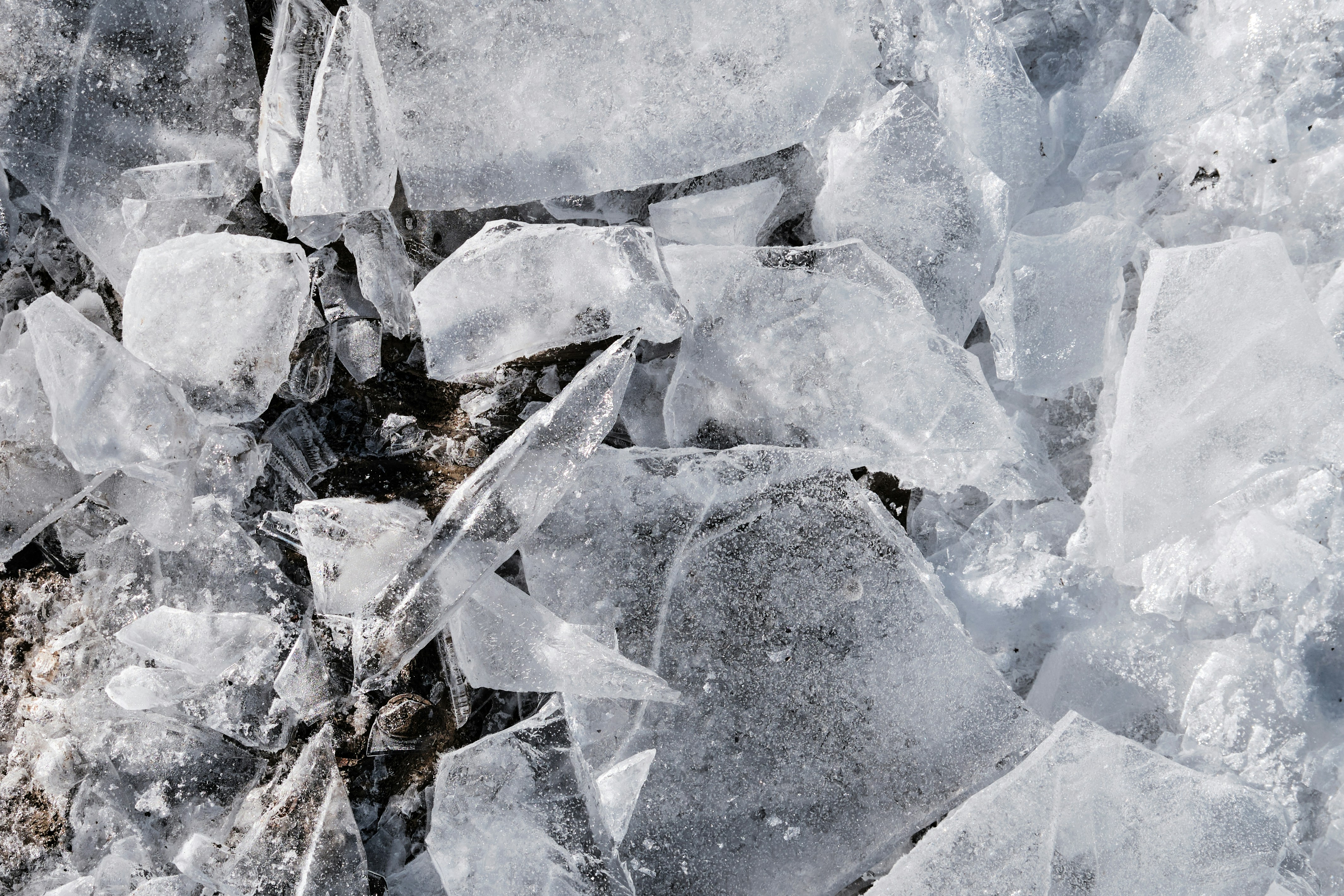 Photo by marcus_ganahl