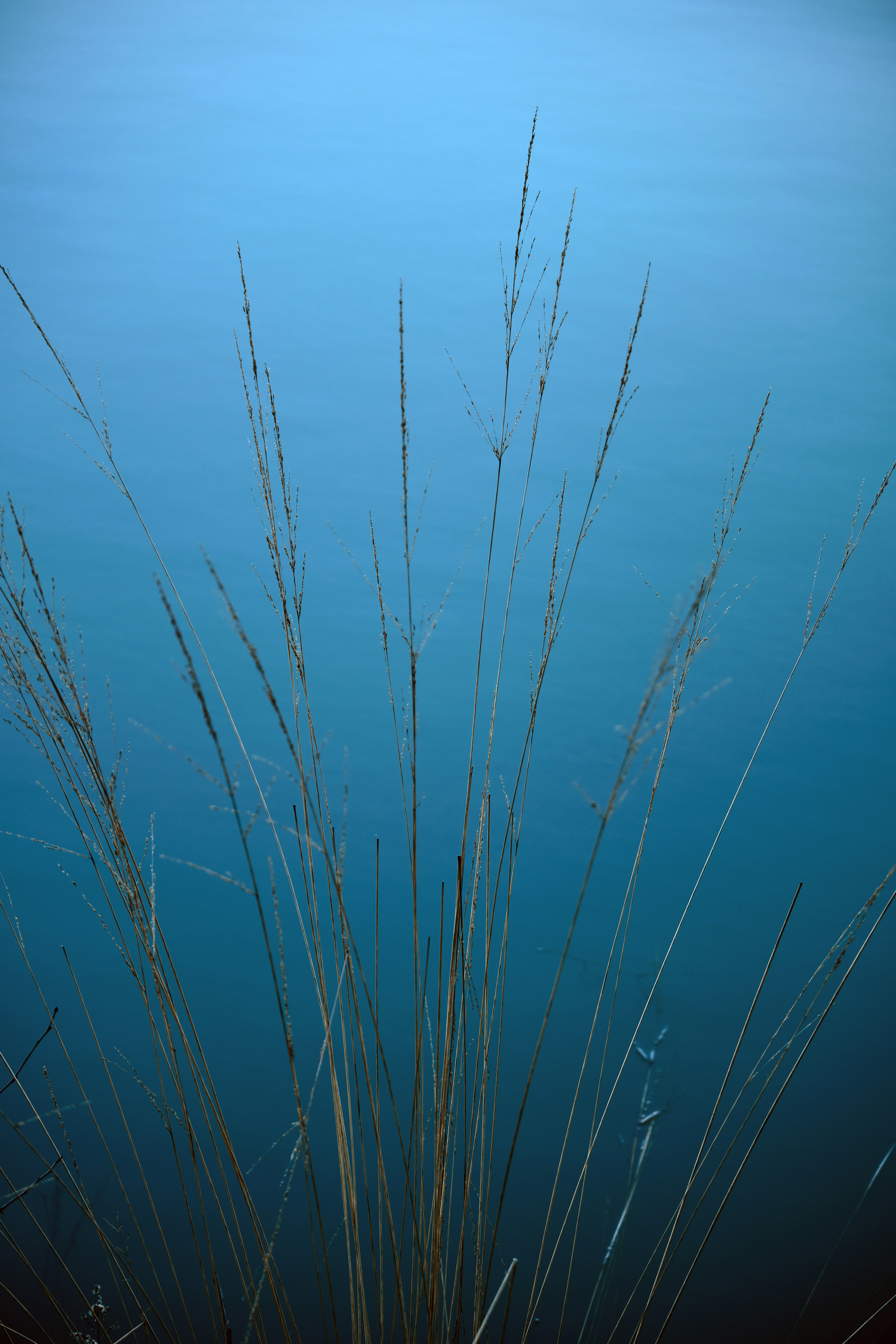 Photo by marcus_ganahl