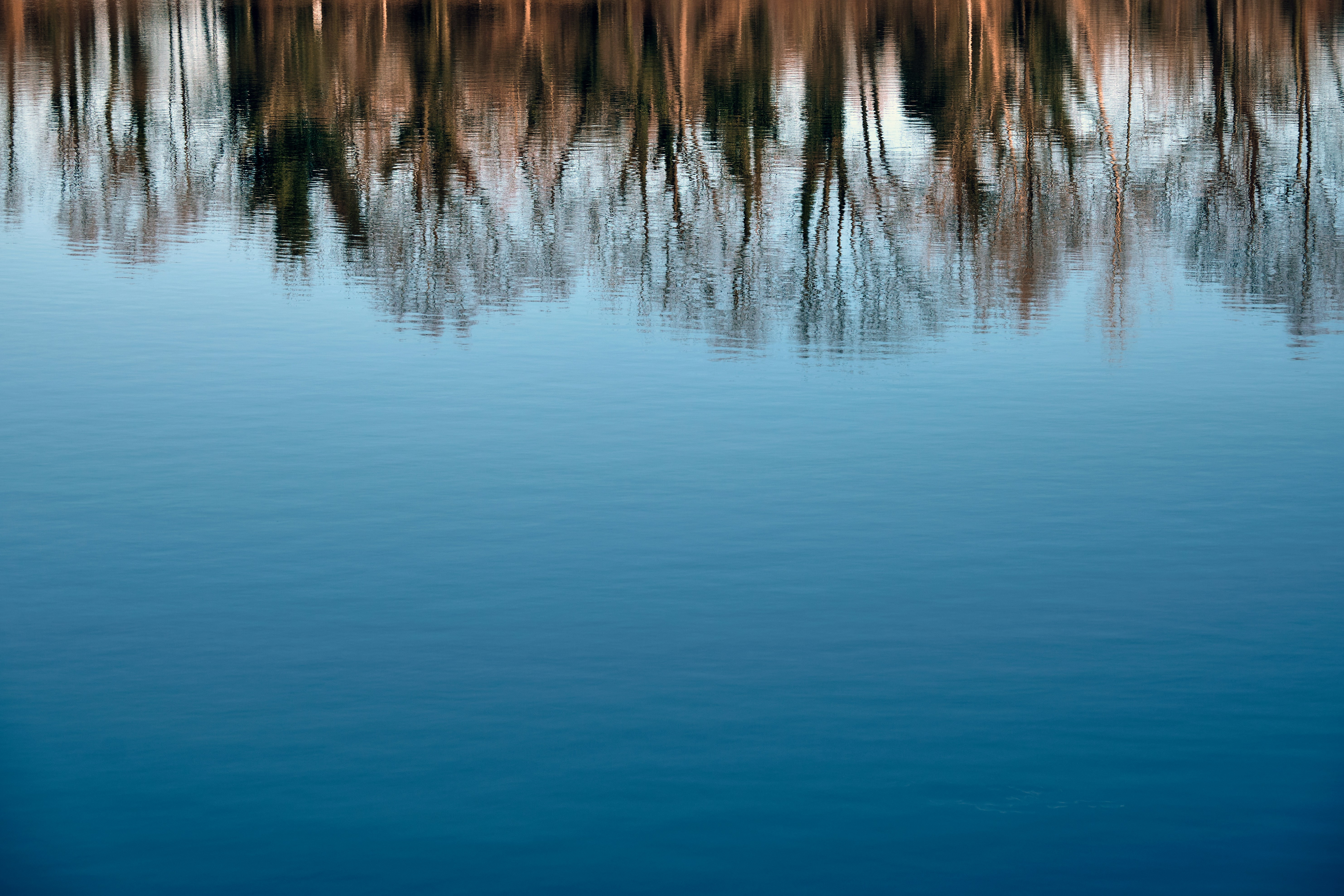 Photo by marcus_ganahl