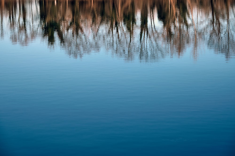 a body of water with trees reflected in it