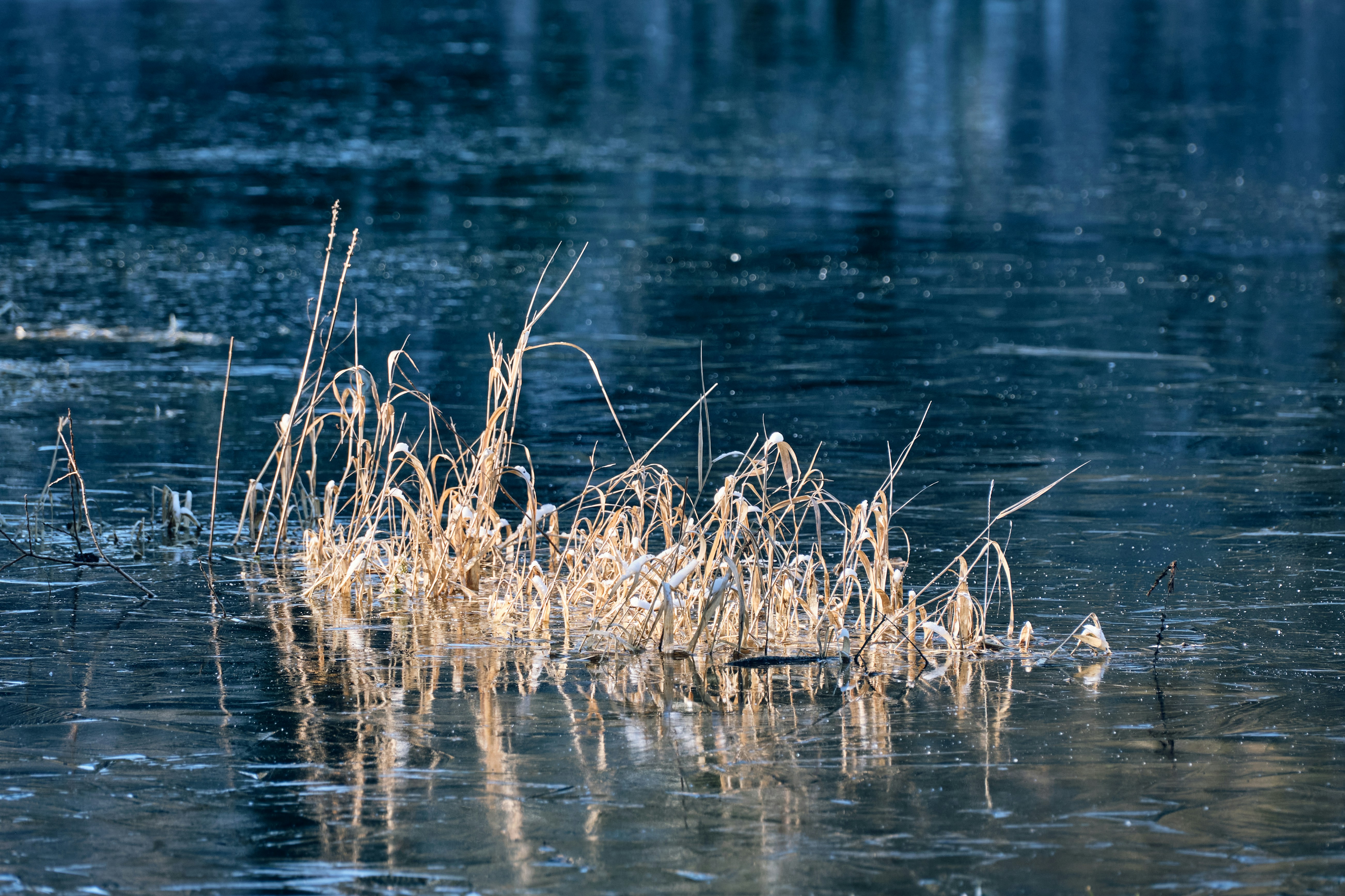 Photo by marcus_ganahl