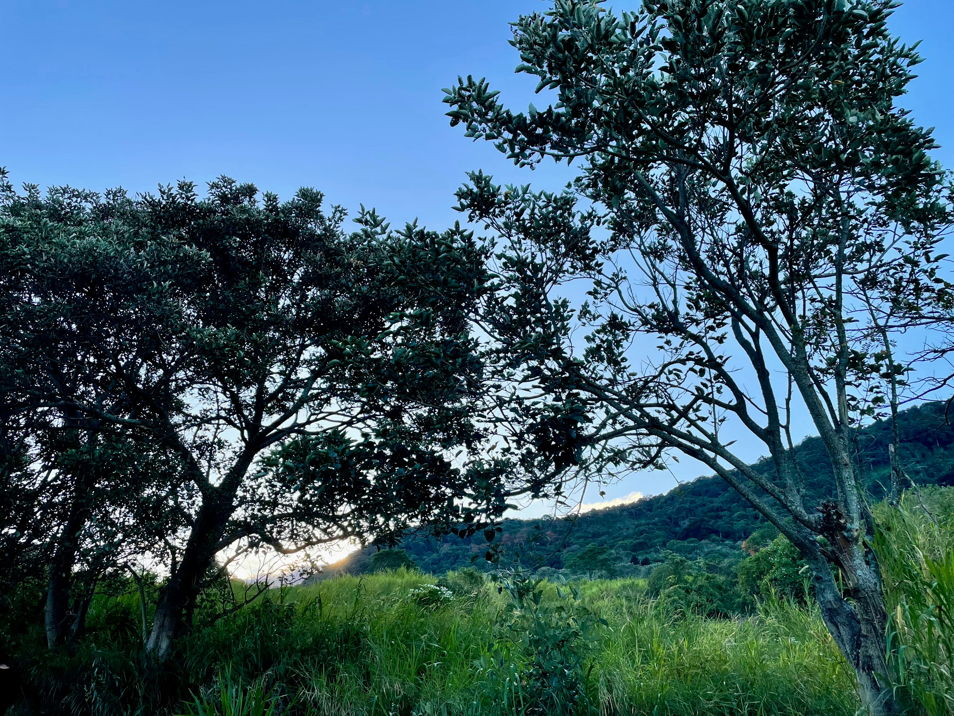 Photo by marlonquesadab