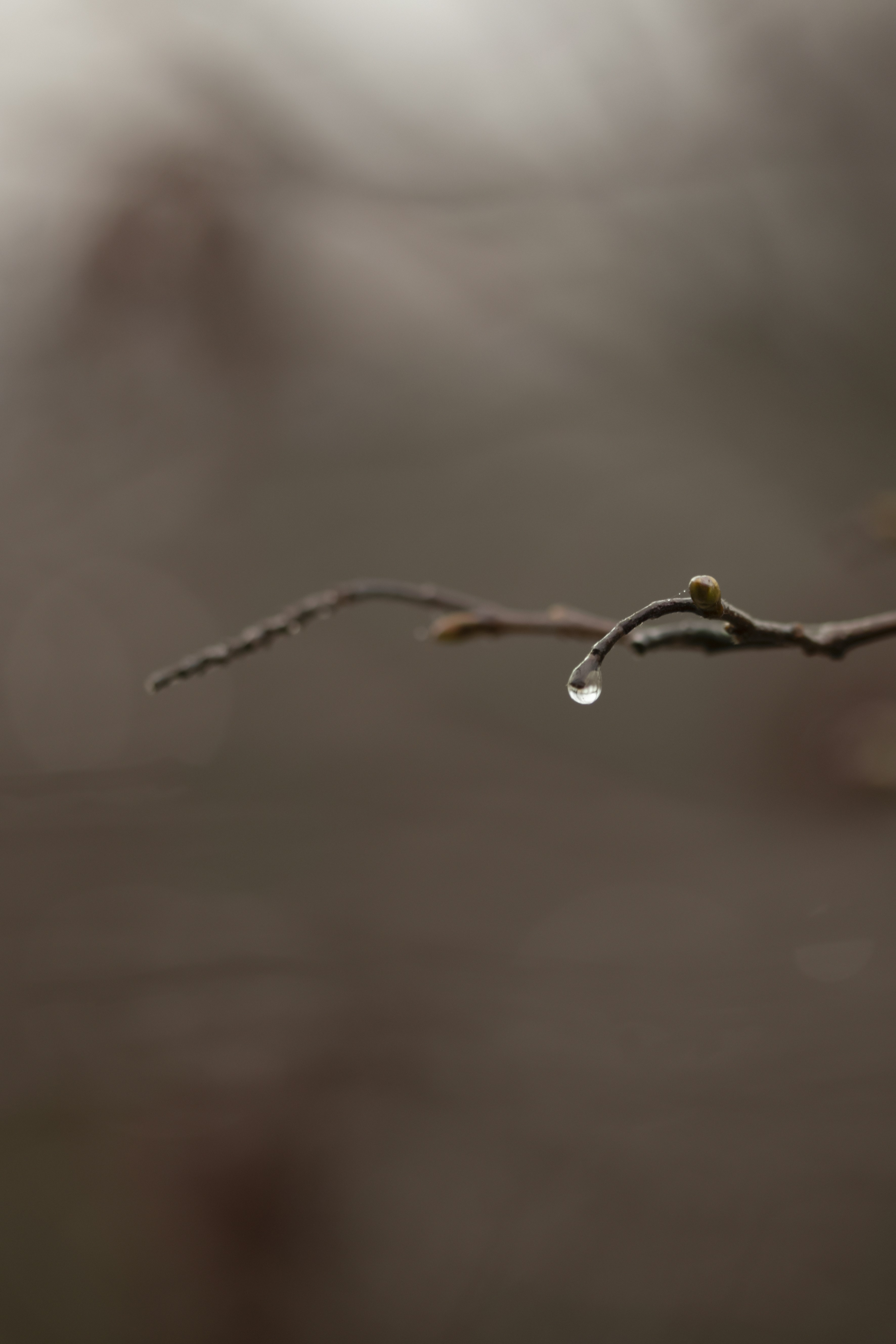 Photo by lauraadaiphoto