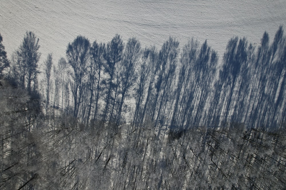 an aerial view of a snow covered forest