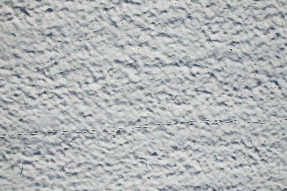 a close up of a white wall with a small patch of paint on it