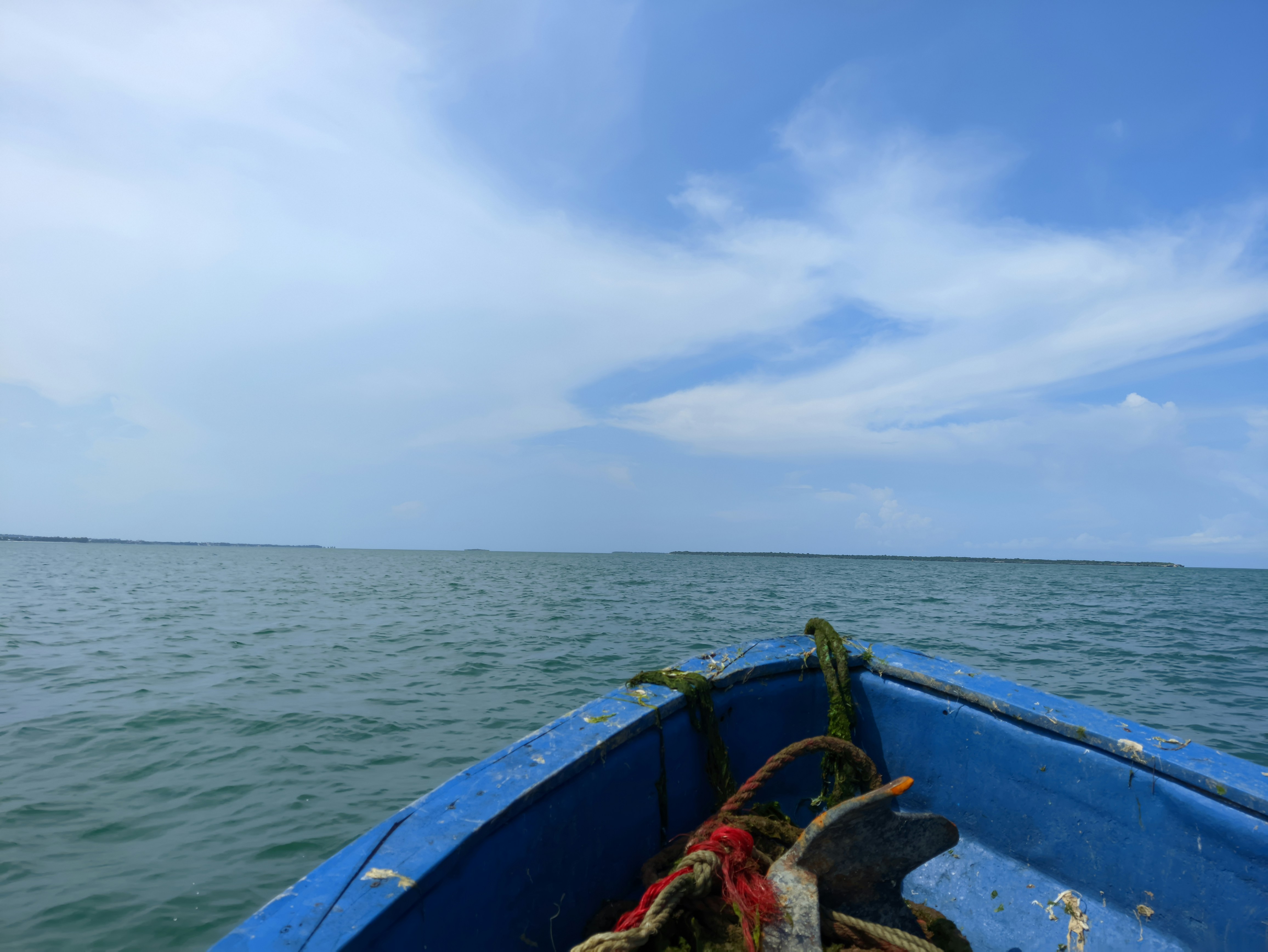 울릉도 배편시간표