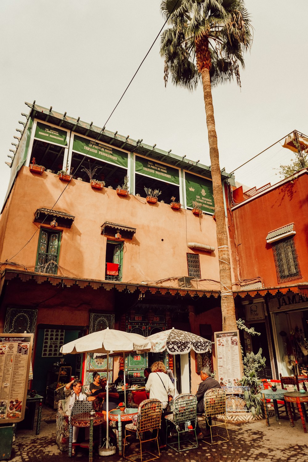 a palm tree in front of a building